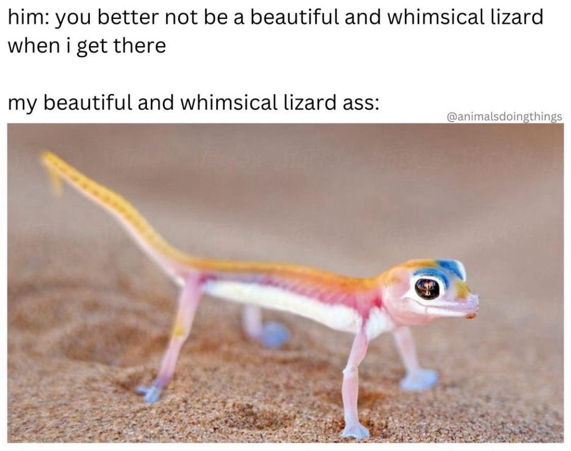 A Hilarious Collection of Random Memes to Brighten Your Day, Volume 9271
