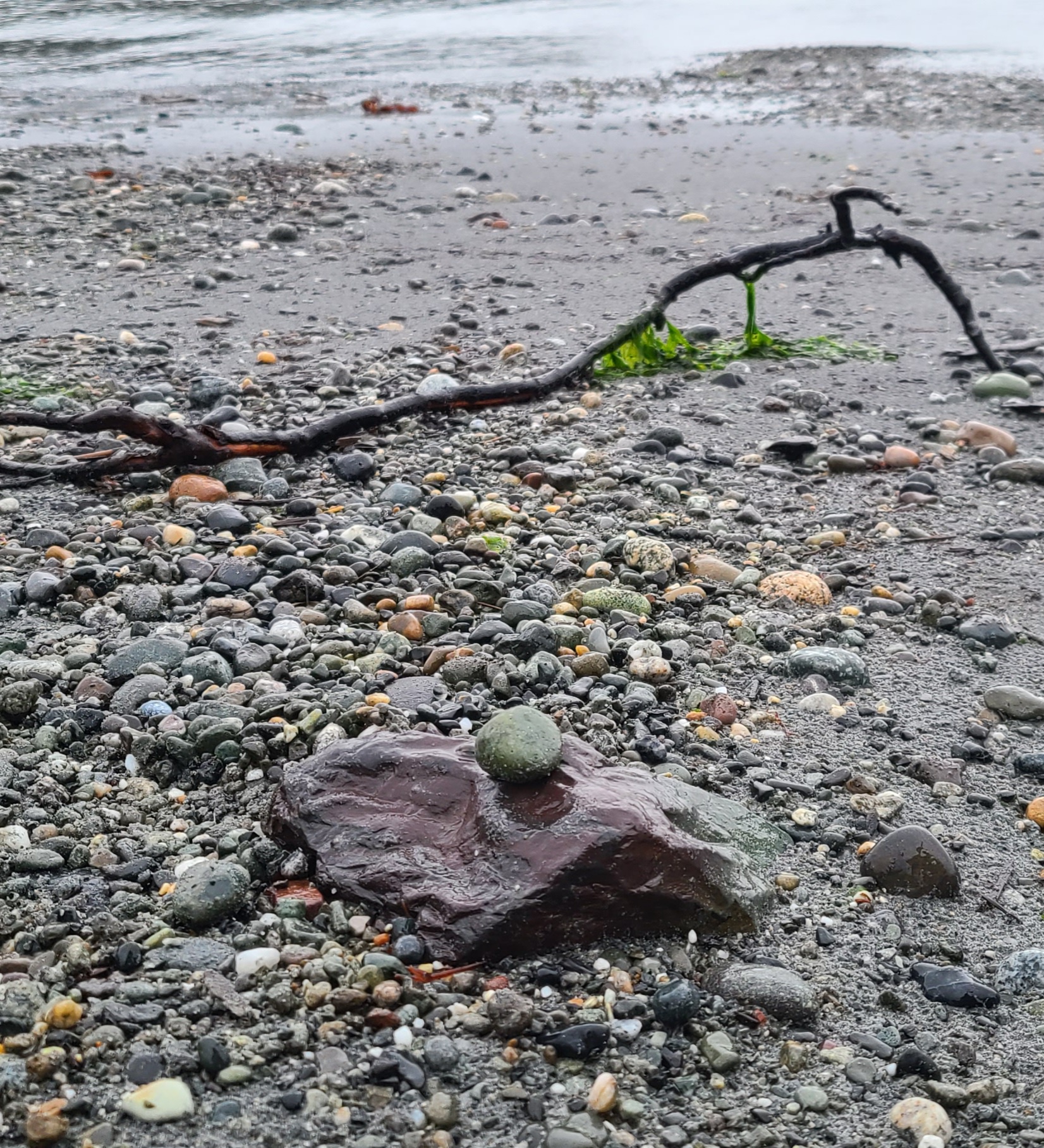 Explored Bowman Bay today and discovered some amazing rocks!