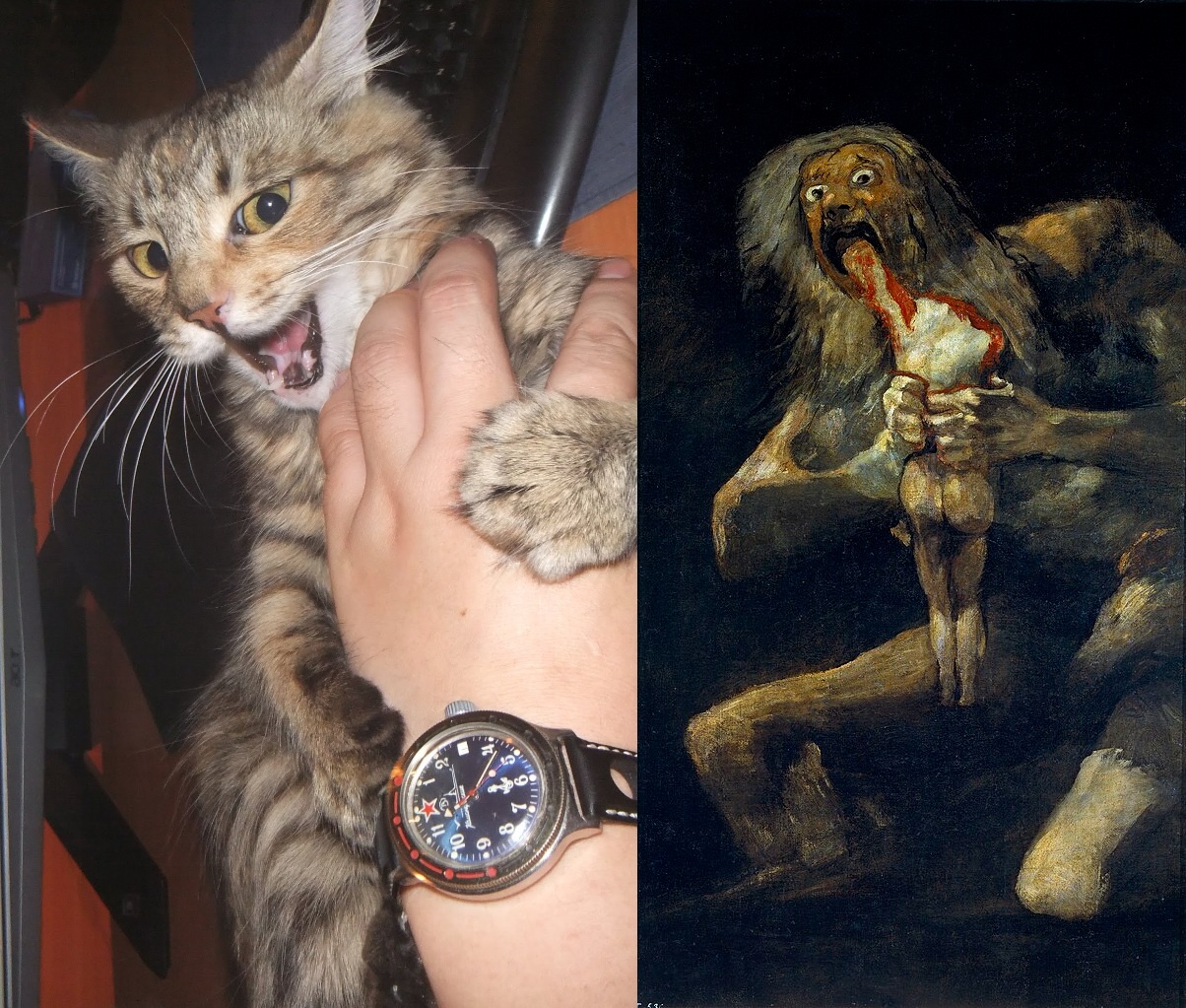 Meet Saturno the Cat: A Cosmic Feline Adventure