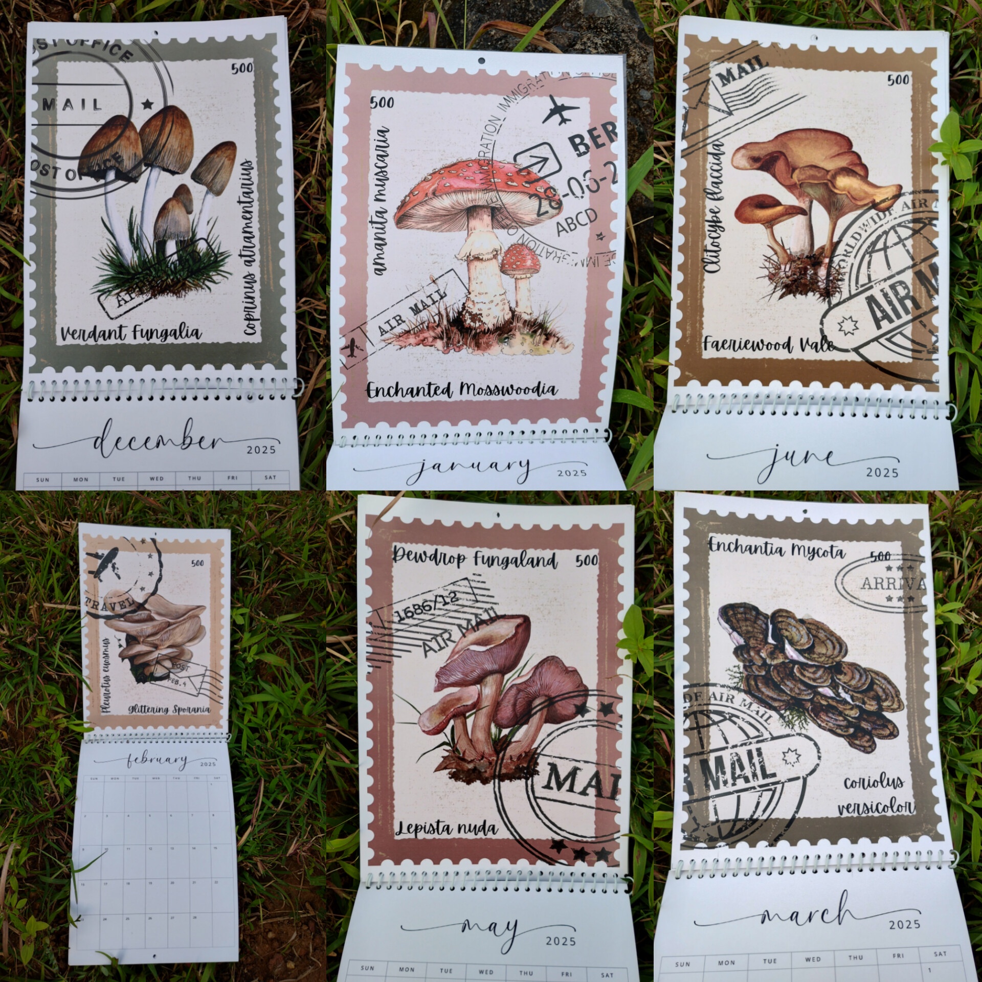 Mushroom Calendar for the Year 2025