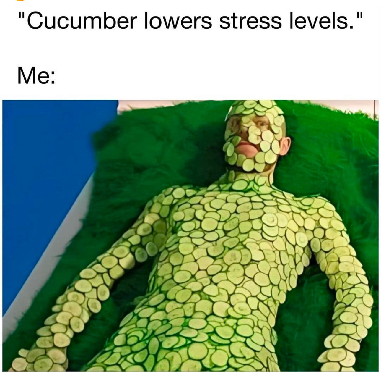 This is totally me!