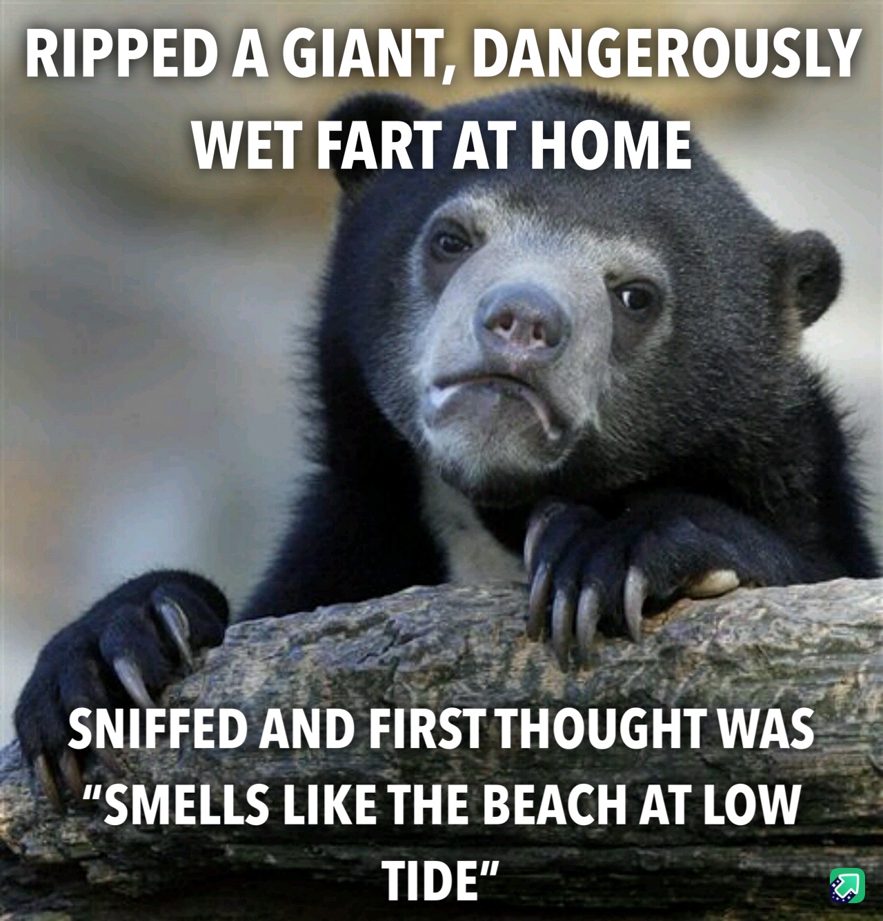 A Quiet Moment of Self-Reflection: Horrified Yet Amused