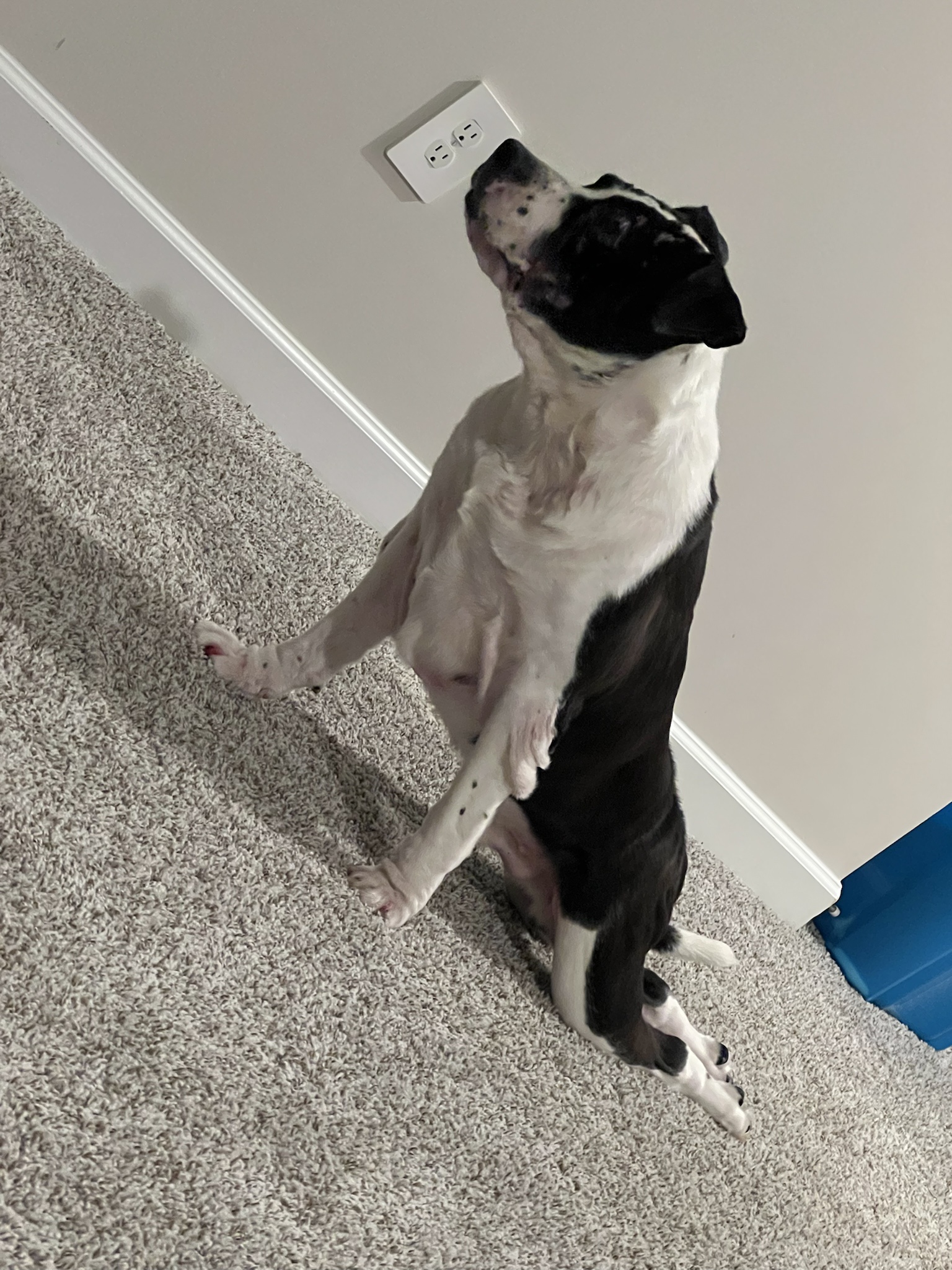 Start Your Day Right: Morning Yoga with JD