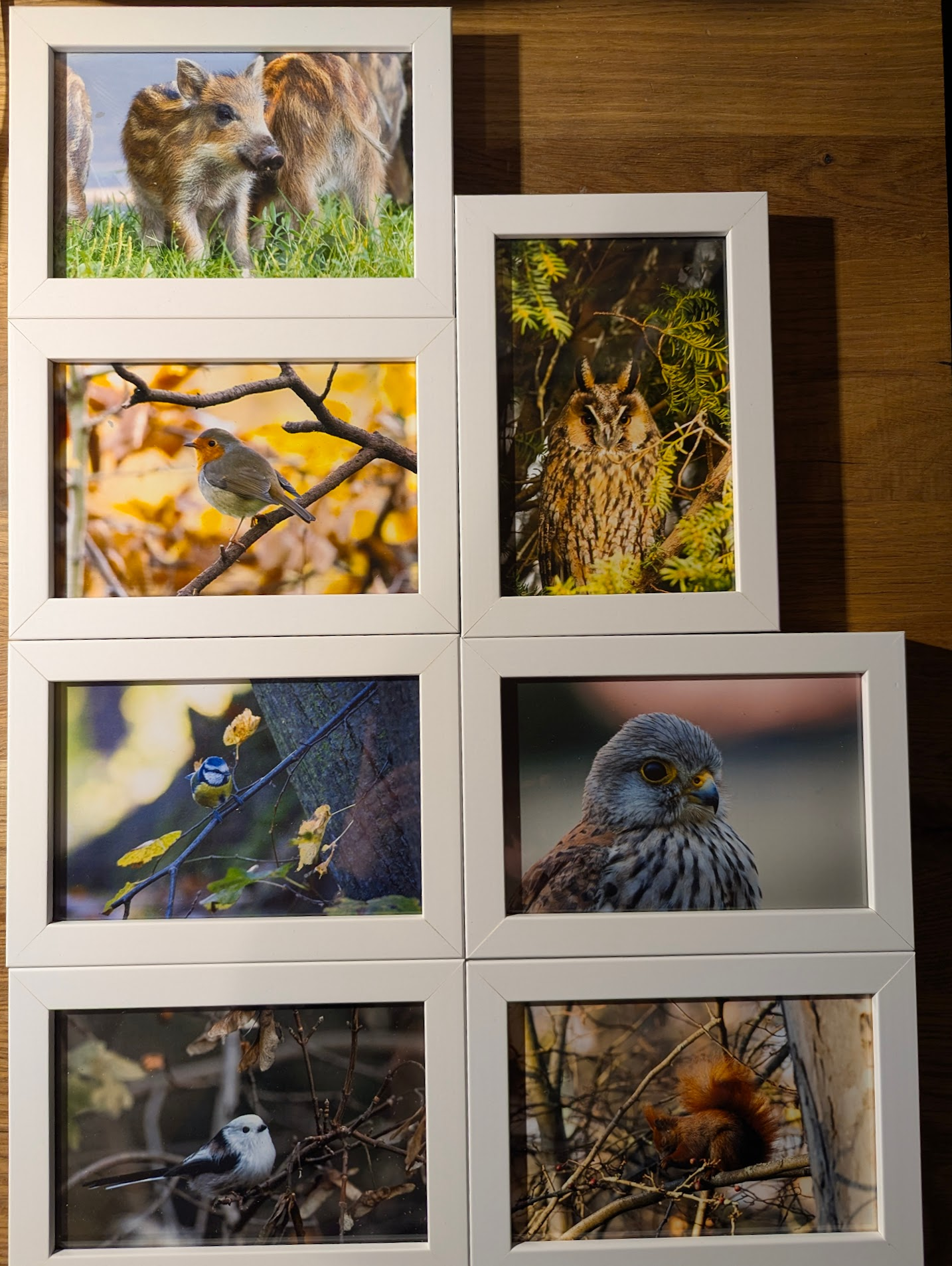 Framed Pictures for Christmas: What’s Your Take?