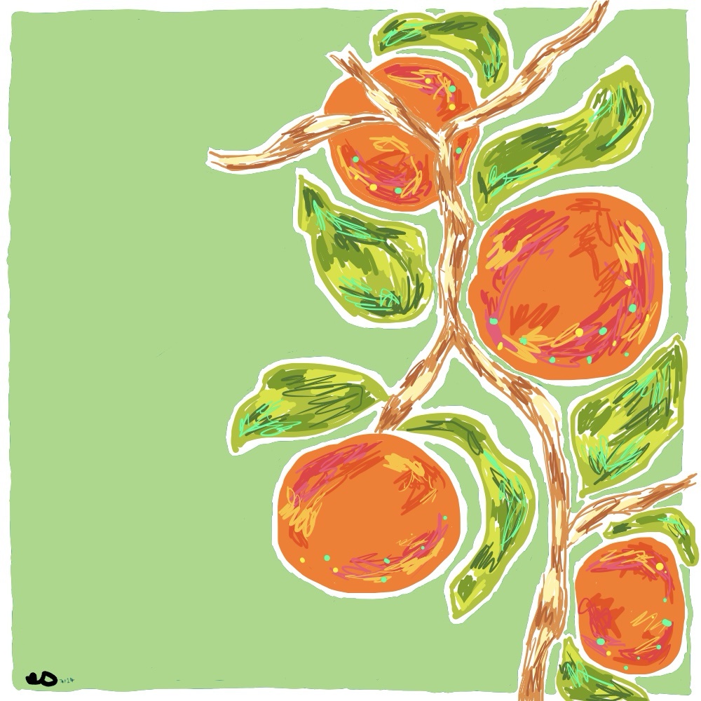 Oranges all to myself! What's your favorite color?