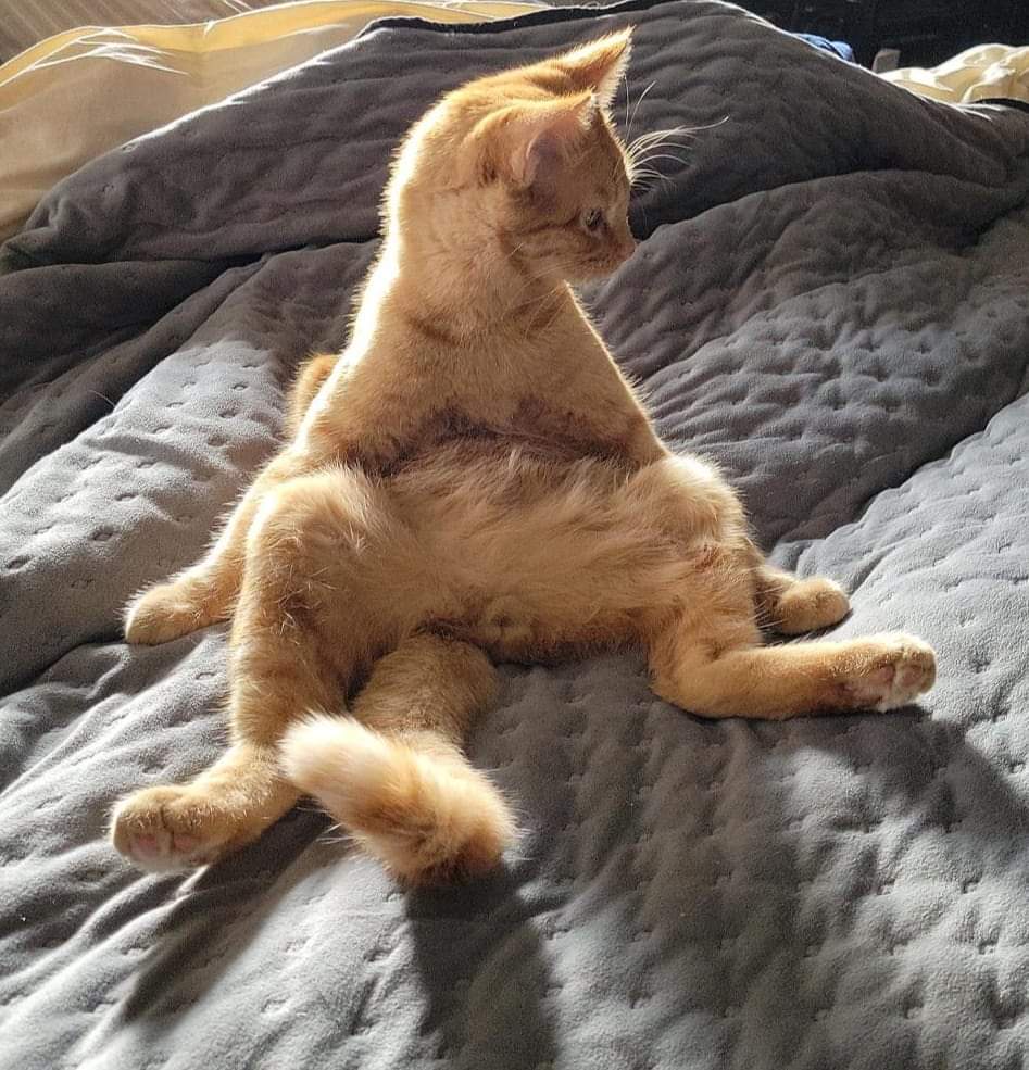 Billy's Morning Vibes: A Snapshot