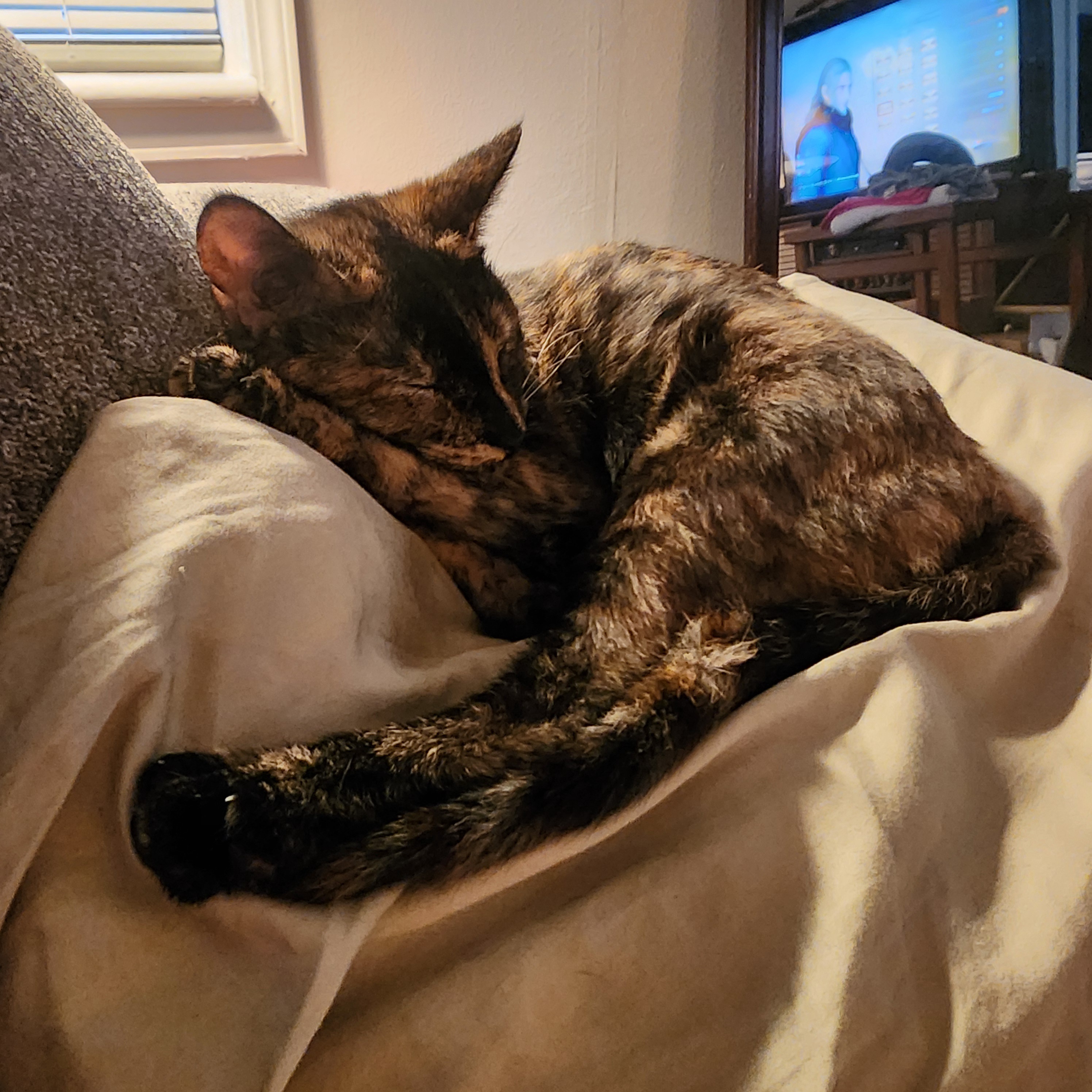 Jadzia is in Dreamland