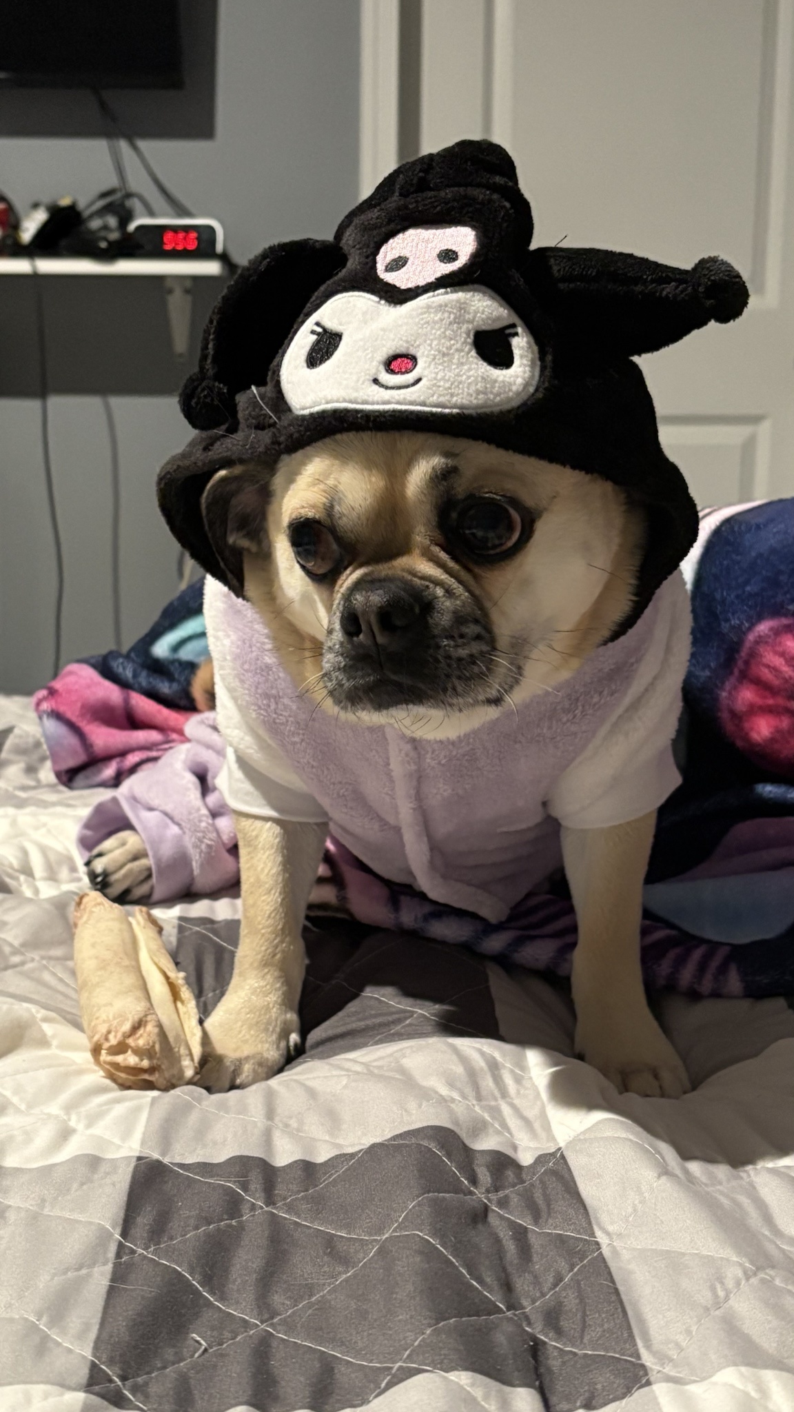 Yoyo the Chug Rocking His Costume