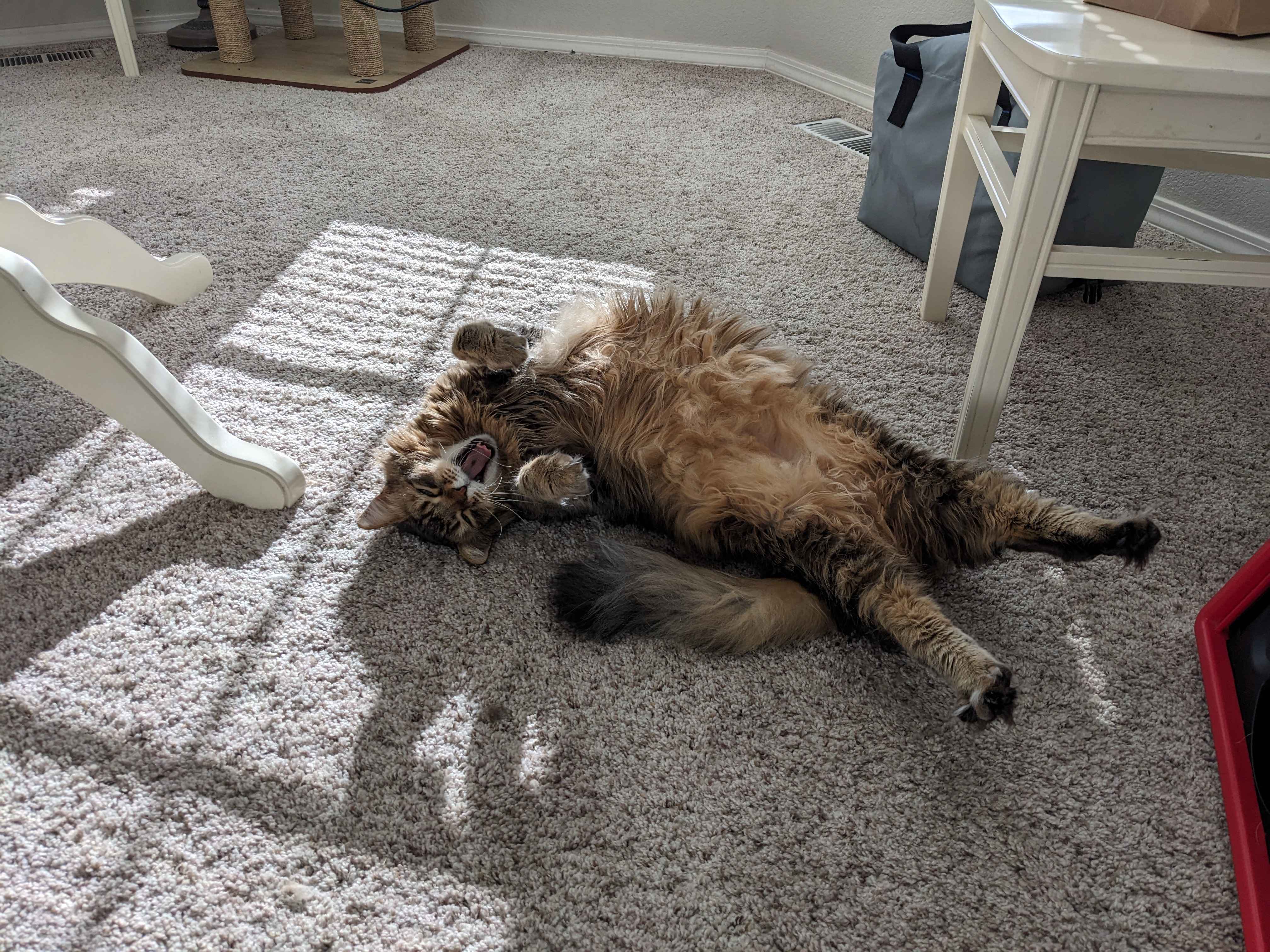 He's completely unfazed by everything around him.