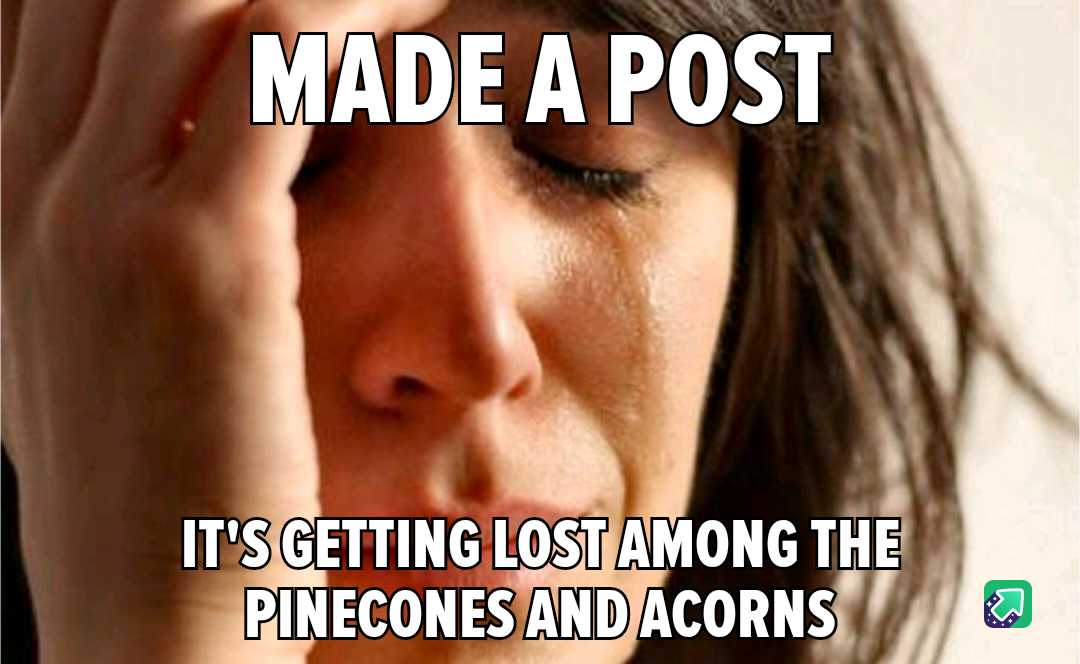Let's Go Team Acorn!