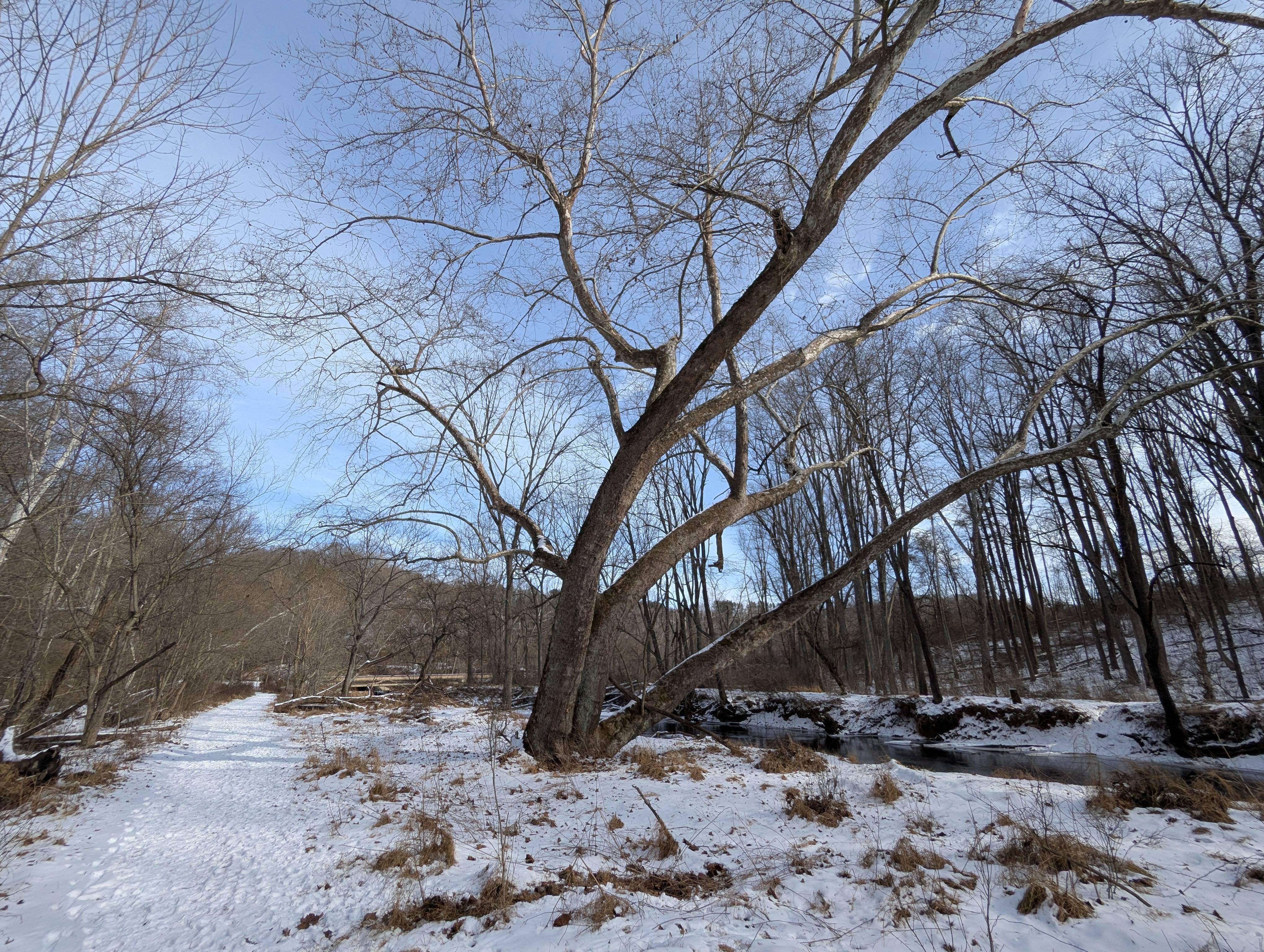 Exploring the scenic beauty of Gunpowder Falls in Hereford, MD