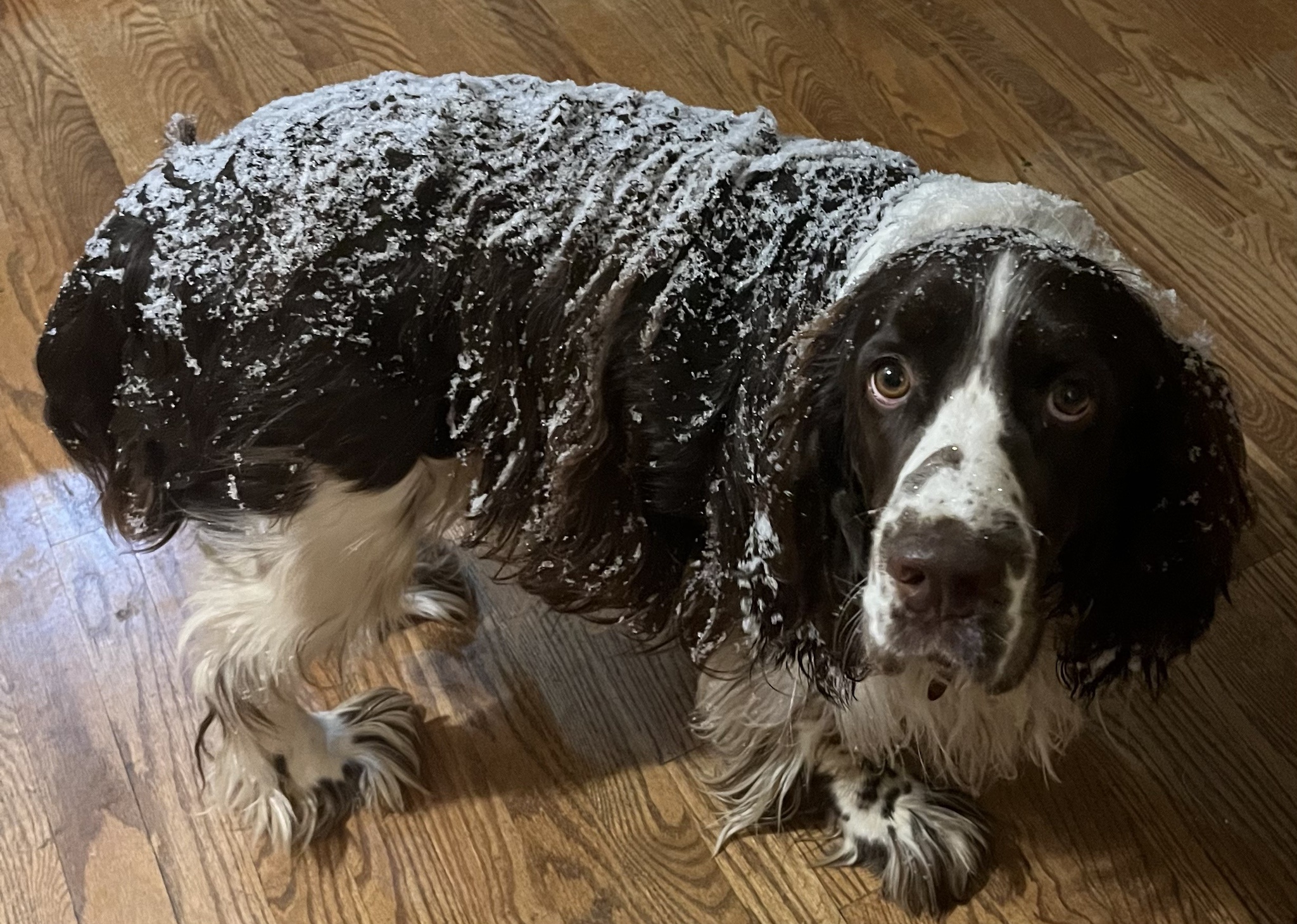 Looks Like Winter Has Arrived: Is That Snow?