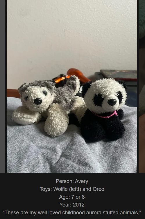 Day 815: Join Me on a Journey to www.saidtheskinhorse.com - Celebrating Our Childhood Toy Bonds with Wolfie and Oreo!