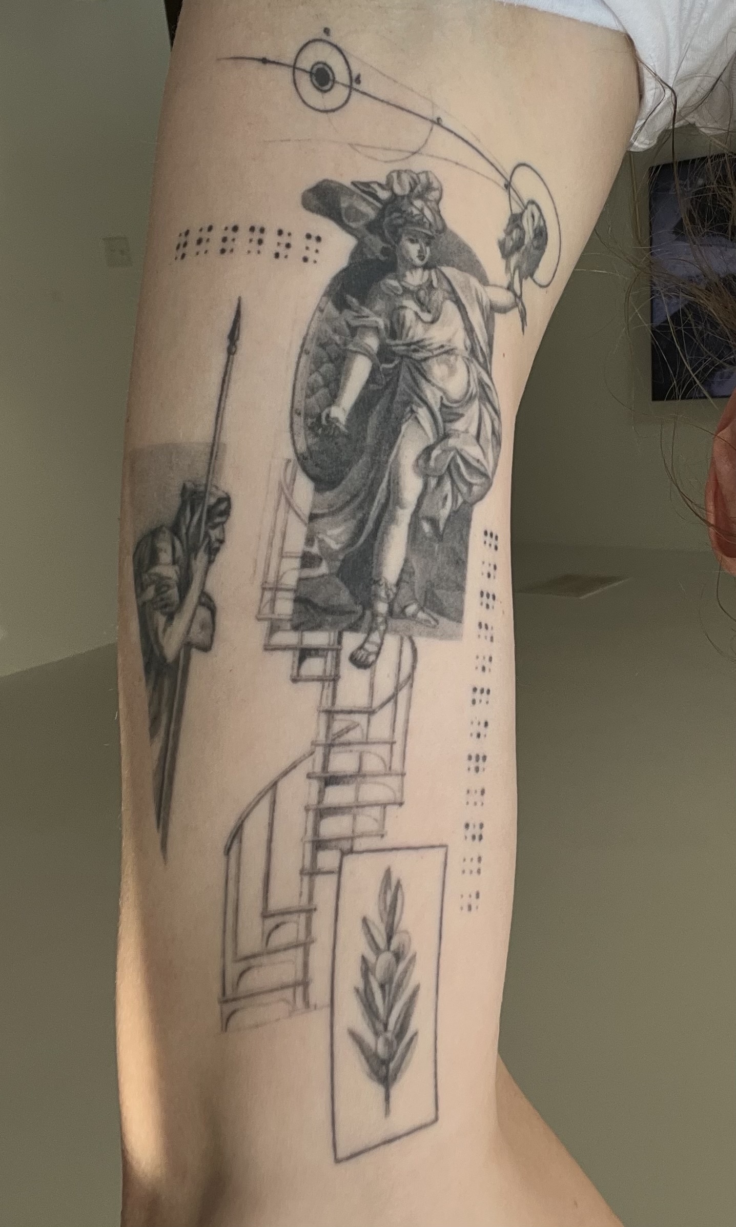 Fine Line Art: Aged to Perfection at 2.5 Years