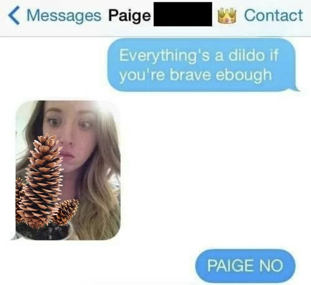 Paige Joins the Pinecone Team—Welcome Aboard!