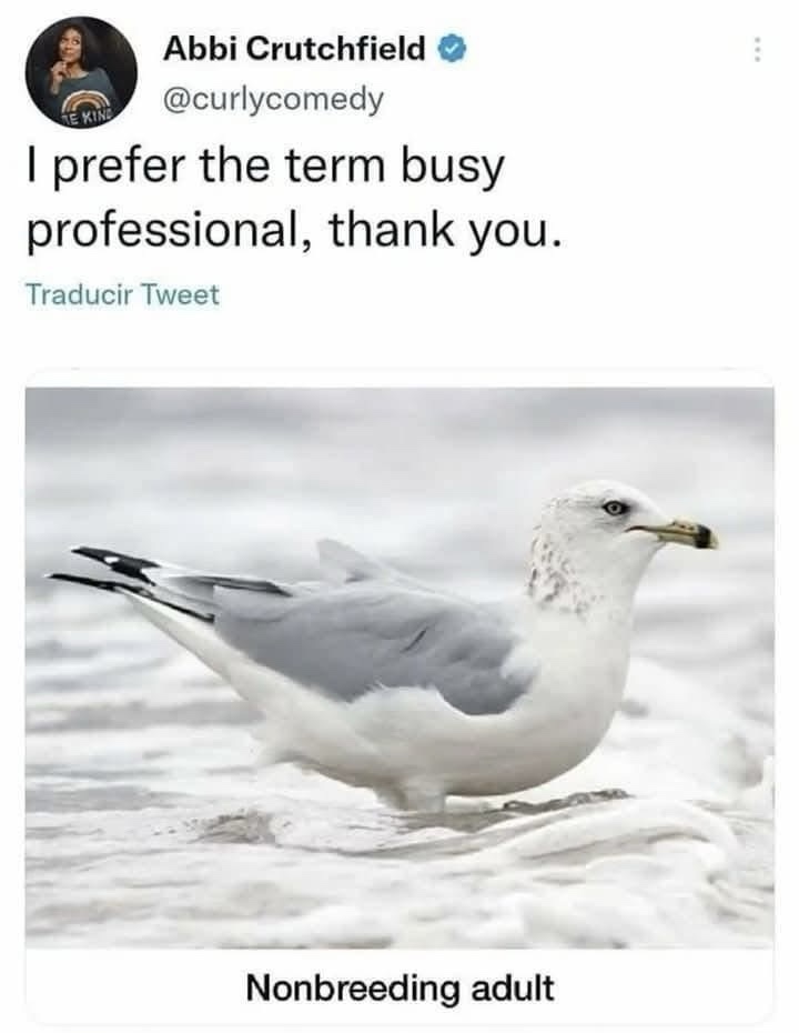 Memes for the Nutty Enthusiasts