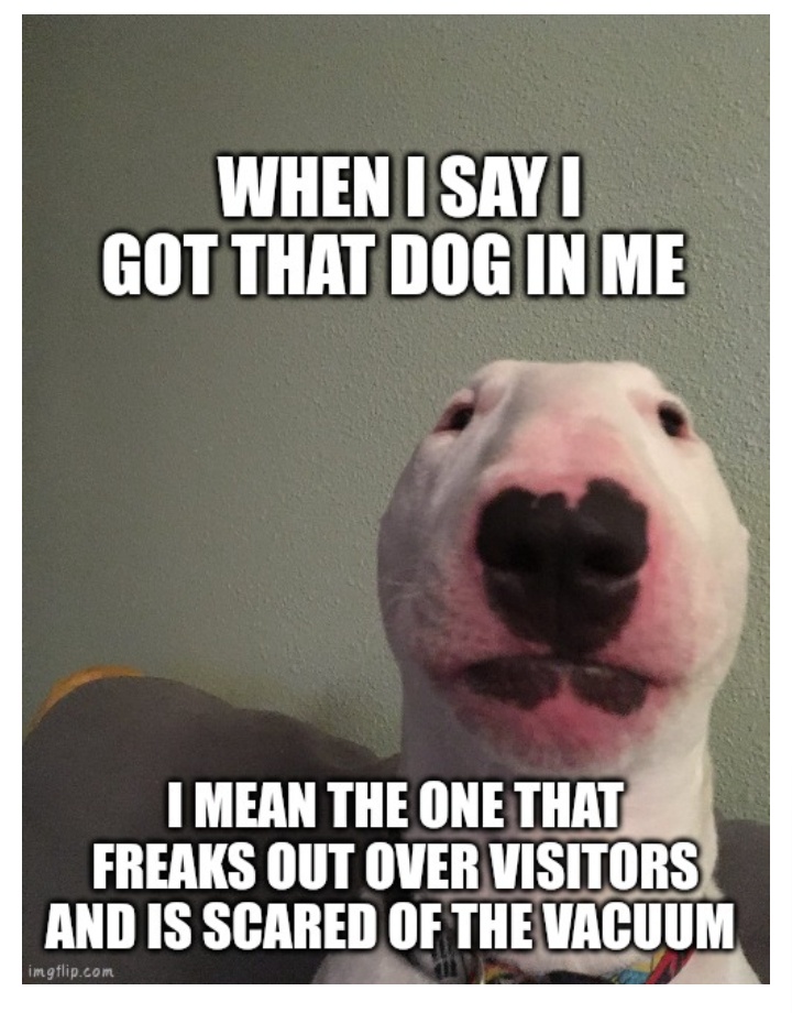 That Adorable Pup