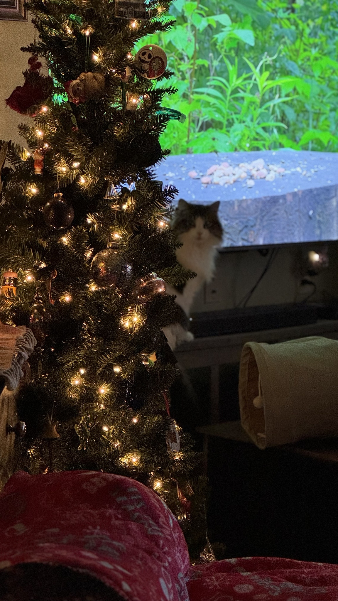 How Dare You Interrupt My Epic Fake Bird Hunt? This is My Reality!