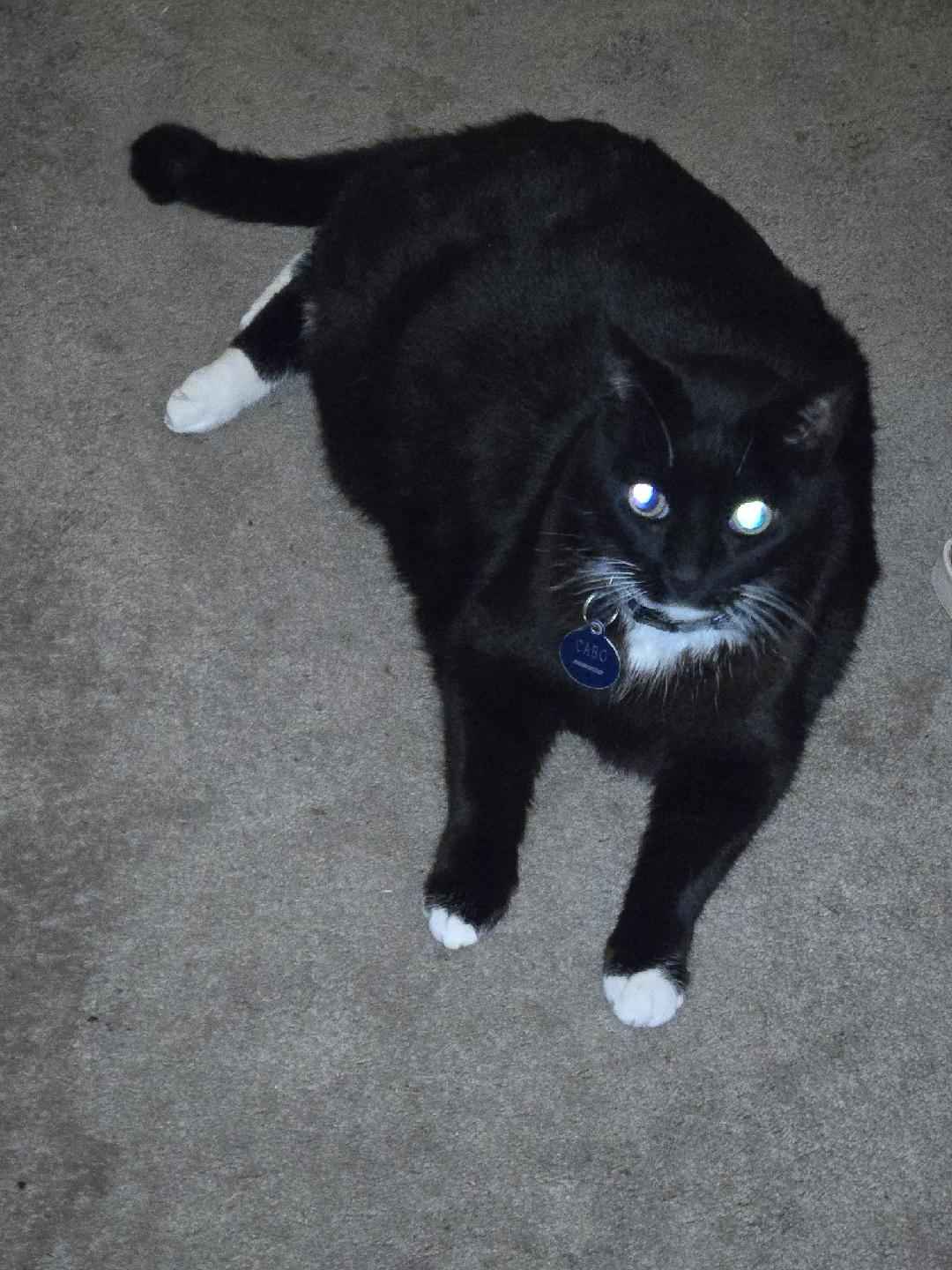 Celebrating 19 Years of Unconditional Love