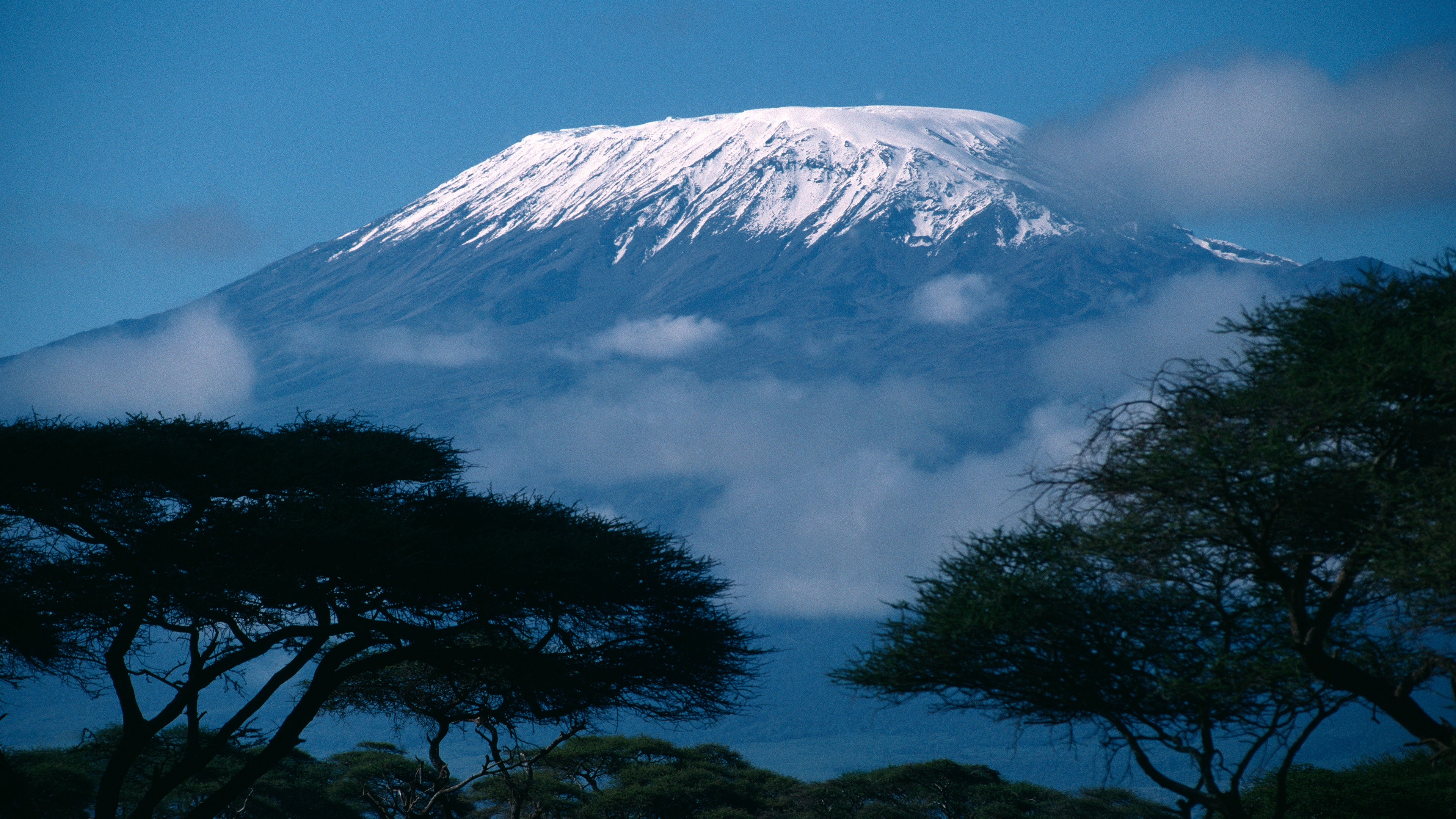 Exploring Africa's Majestic Rooftop