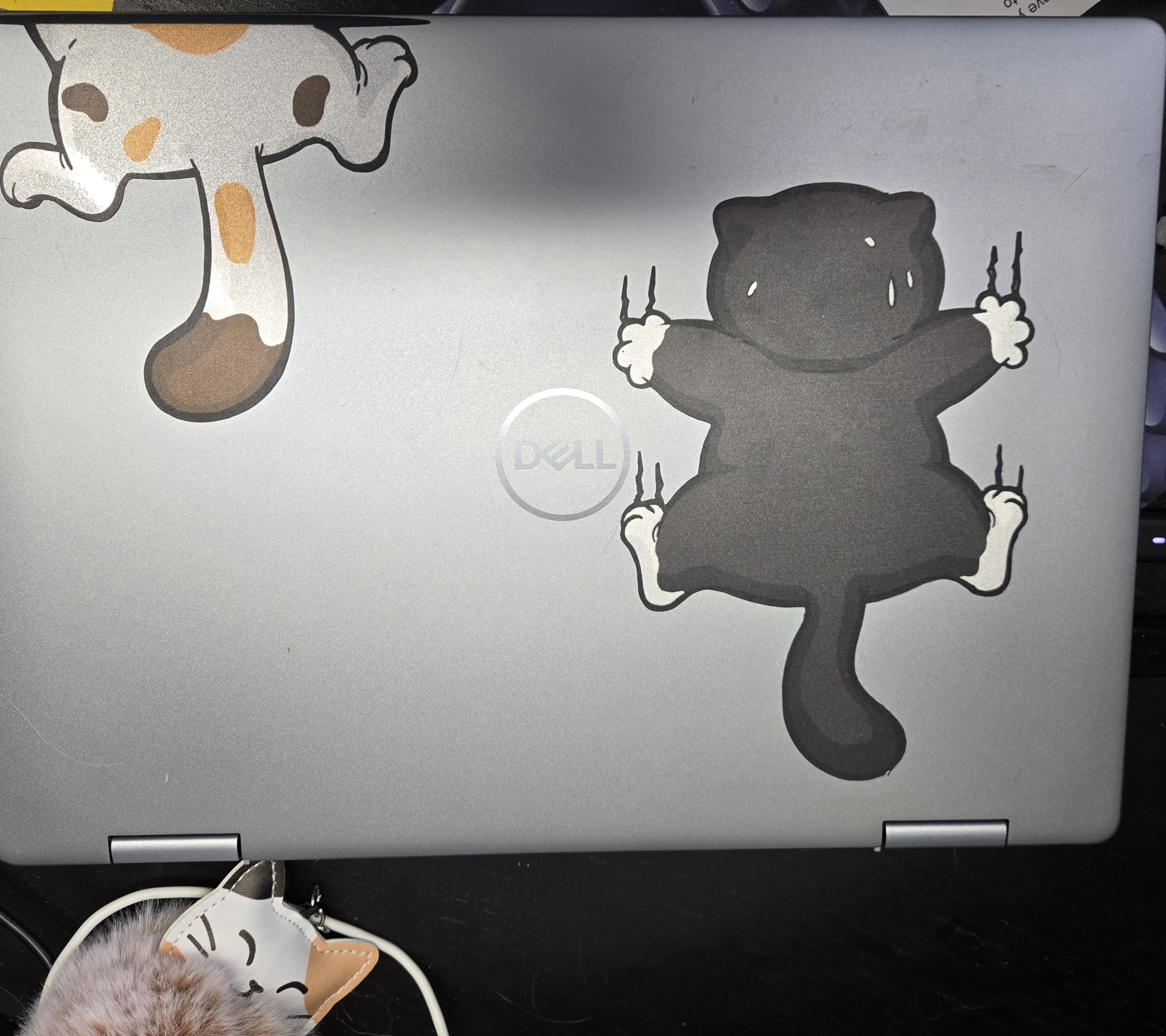 Adorable Climbing Kitty Stickers on My Laptop!