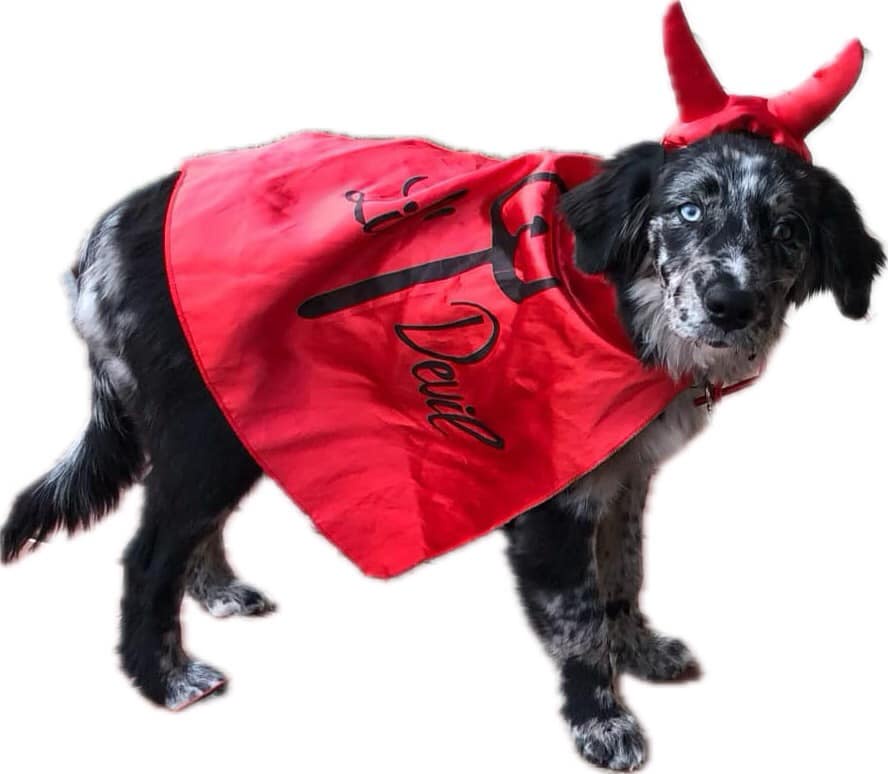Get Ready for Halloween 2024: Spooktacular Fun Ahead!