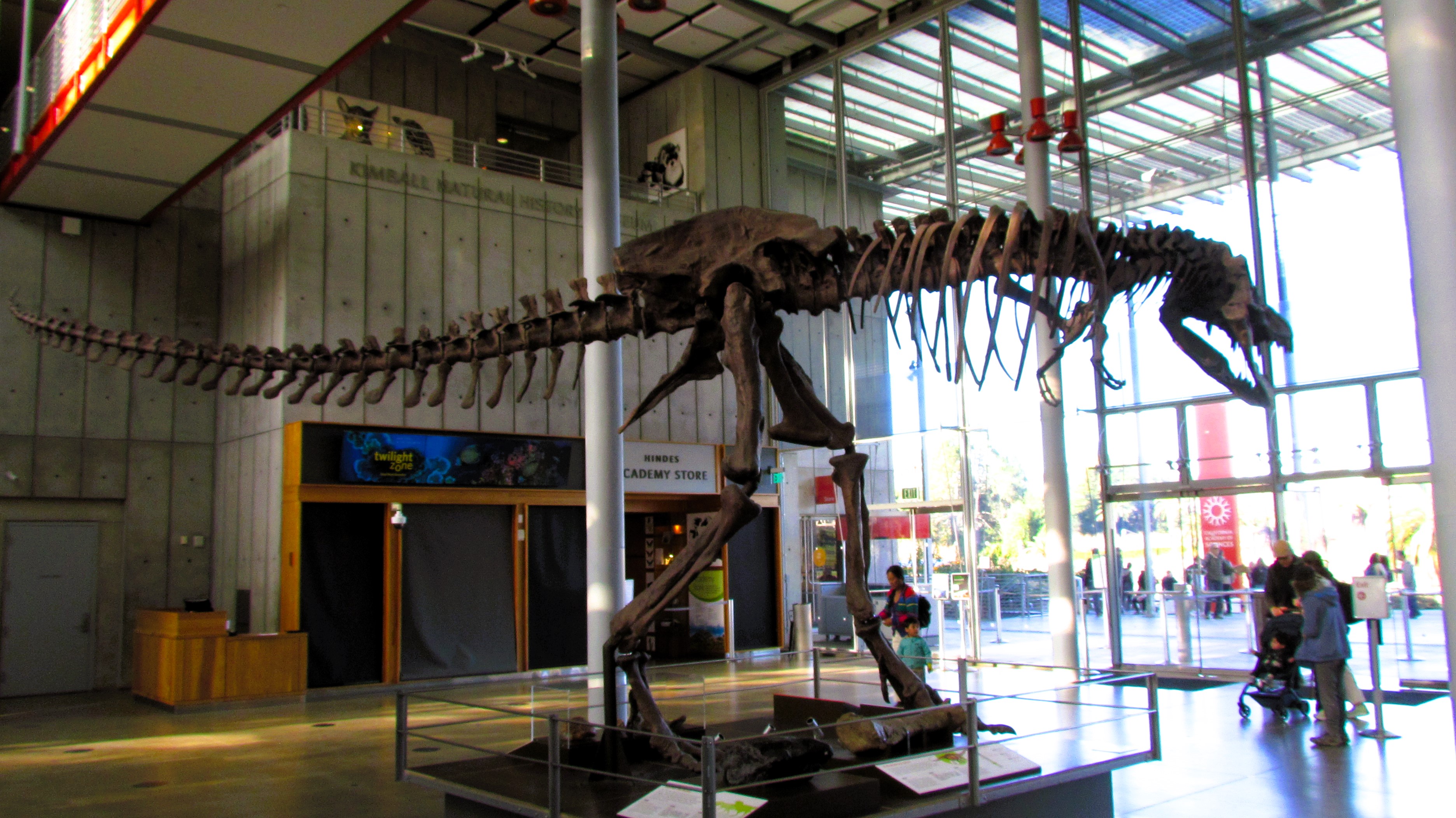 Discovering the Marvels of the California Academy of Science