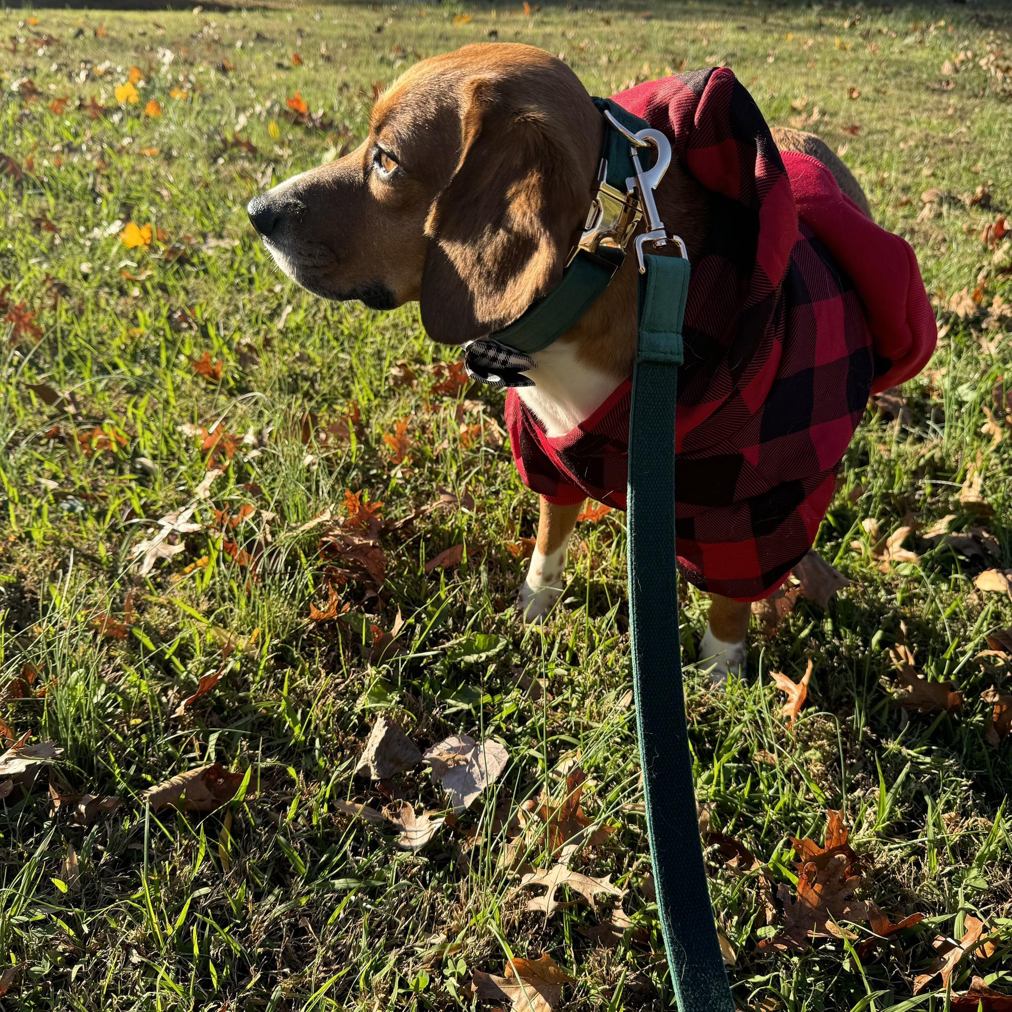 Looks like someone is all set for their catalog cover shoot!