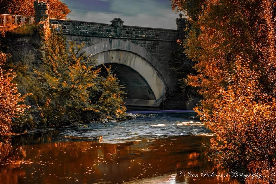 The Bridge: A Connection to New Possibilities
