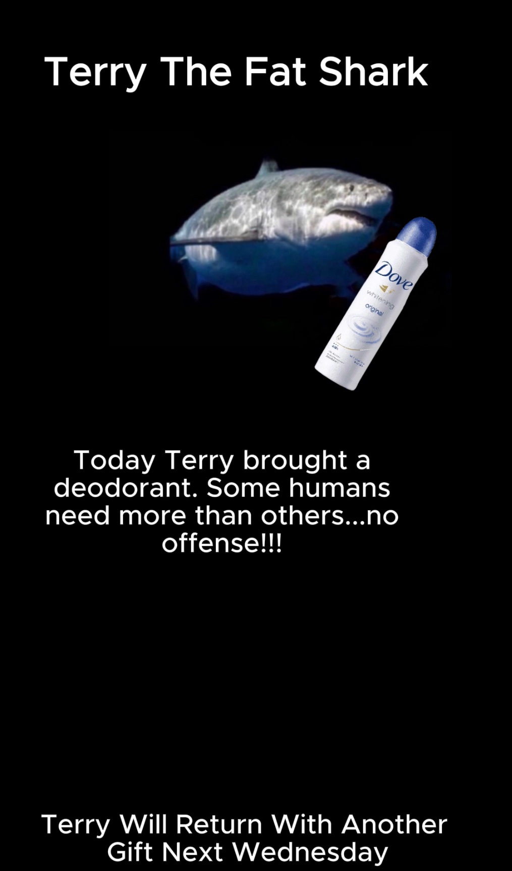 Terry's Special Wednesday Surprise Gift!