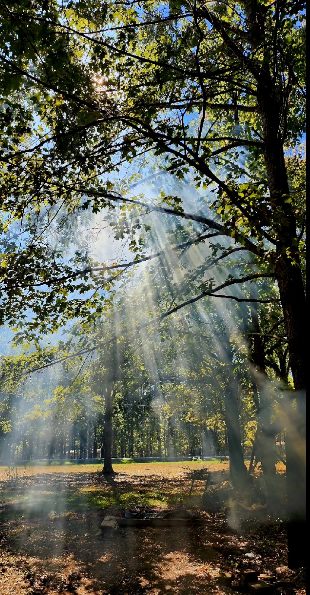 Radiant Sunshine Breaking Through Smoky Hues