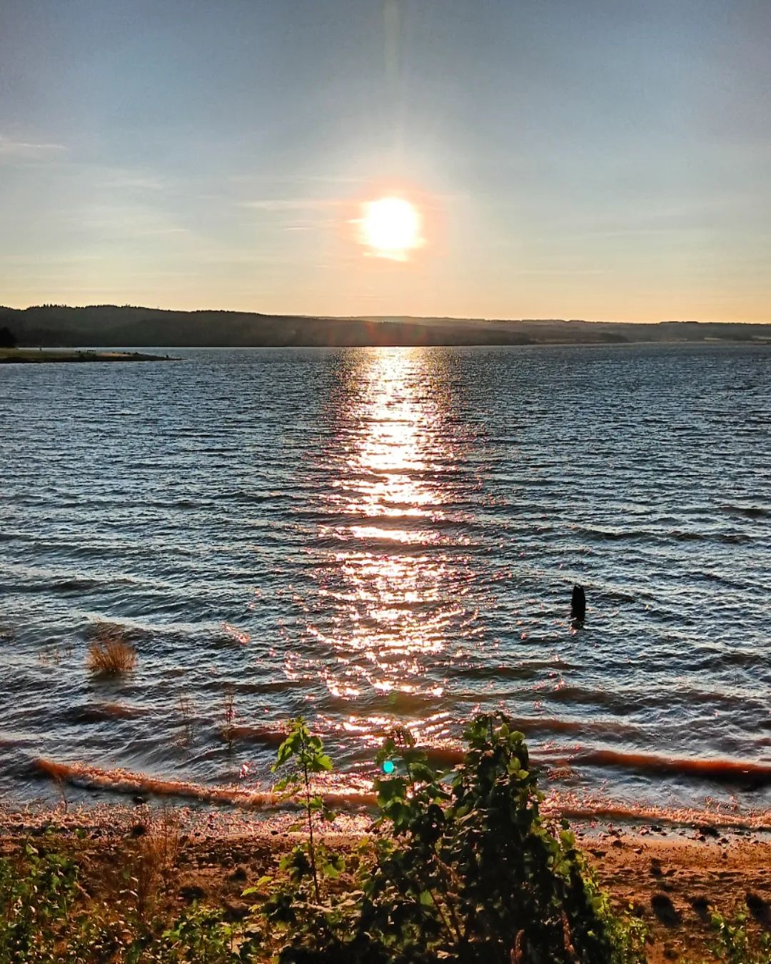 A Serene Sun-Kissed Evening by the Lake