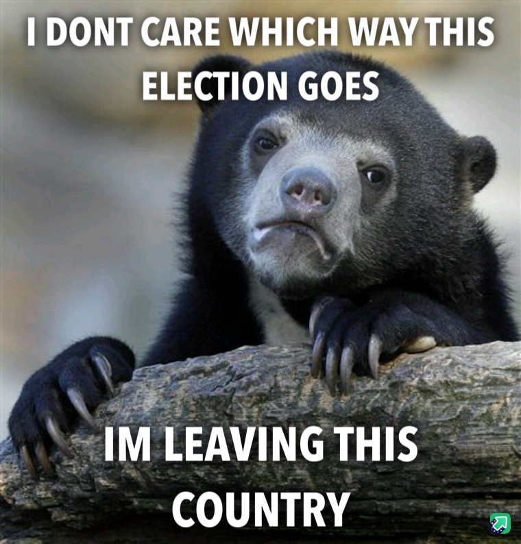 Make Your Voice Heard: Go Out and Vote!