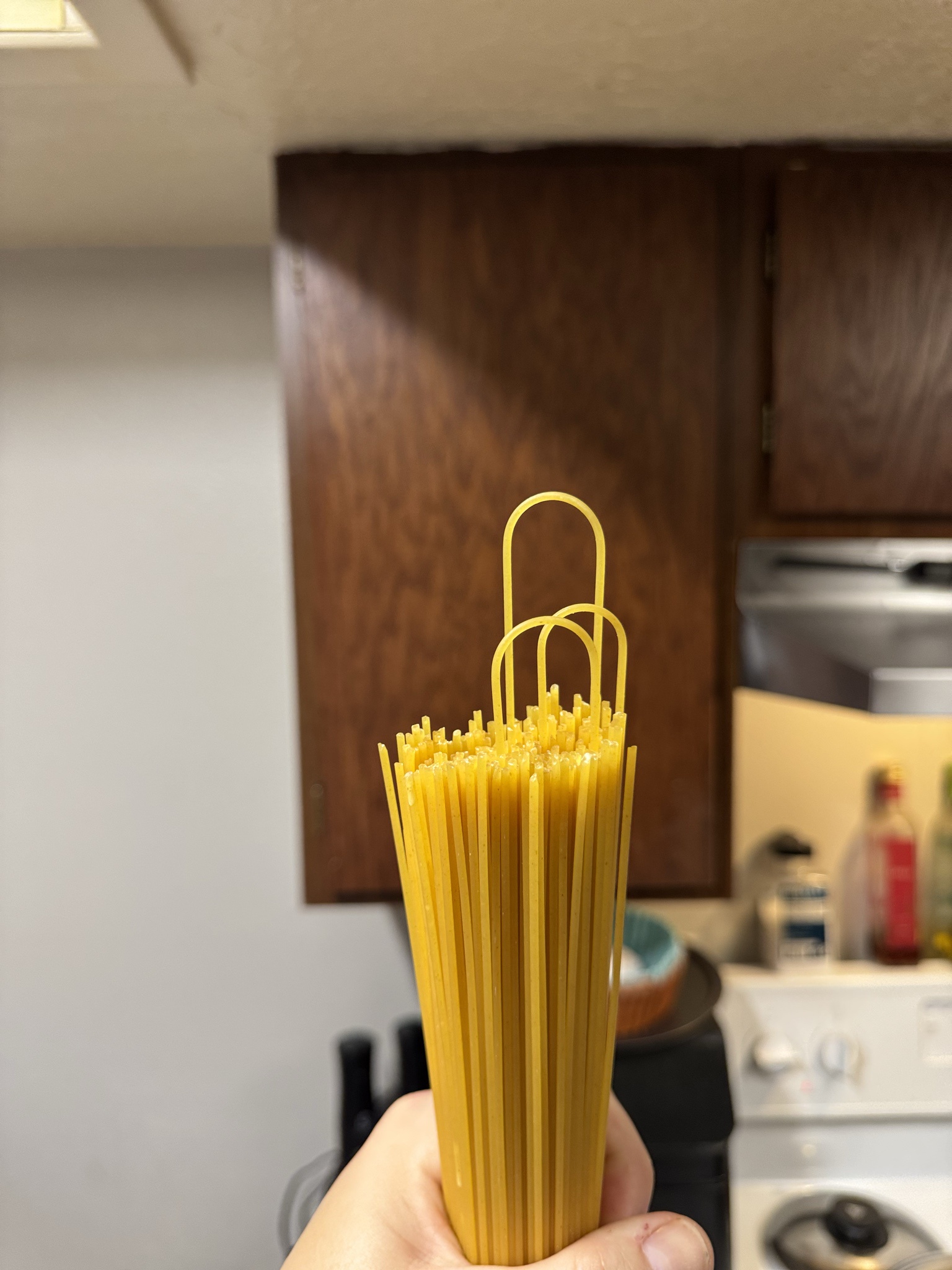 I've never encountered spaghetti quite like this, still a work in progress.