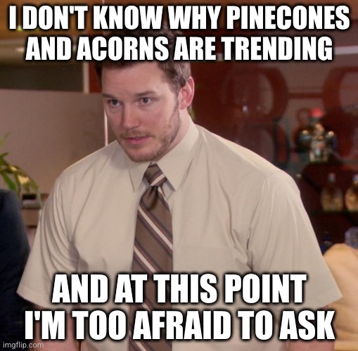 They are absolutely everywhere!