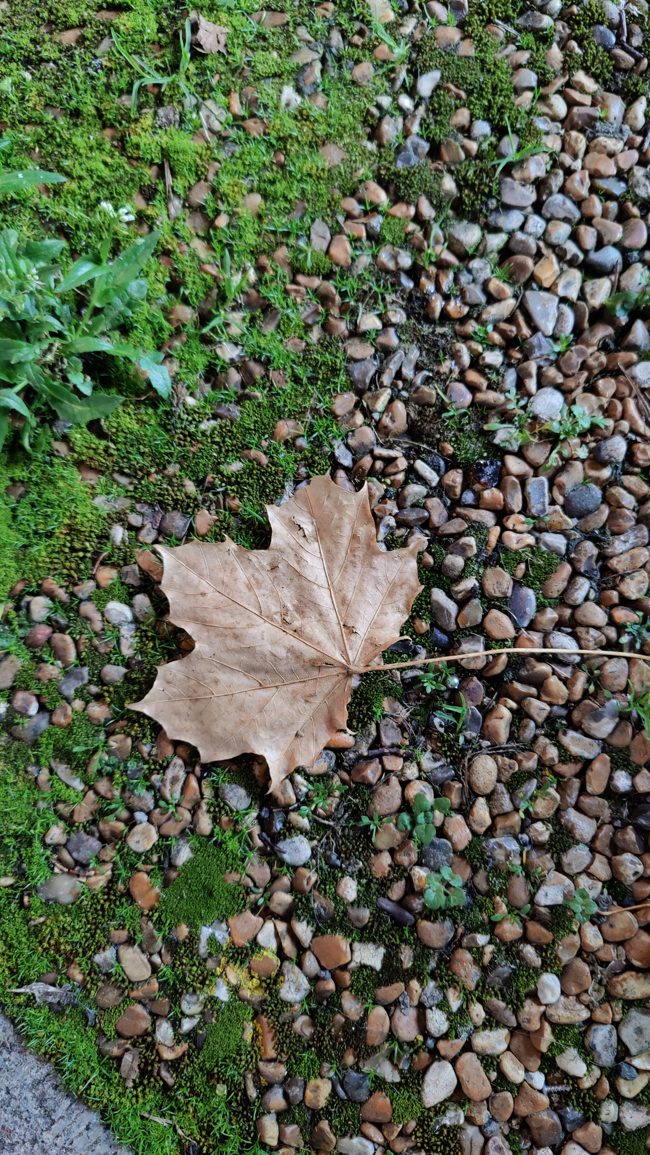Embracing the Beauty of Autumn