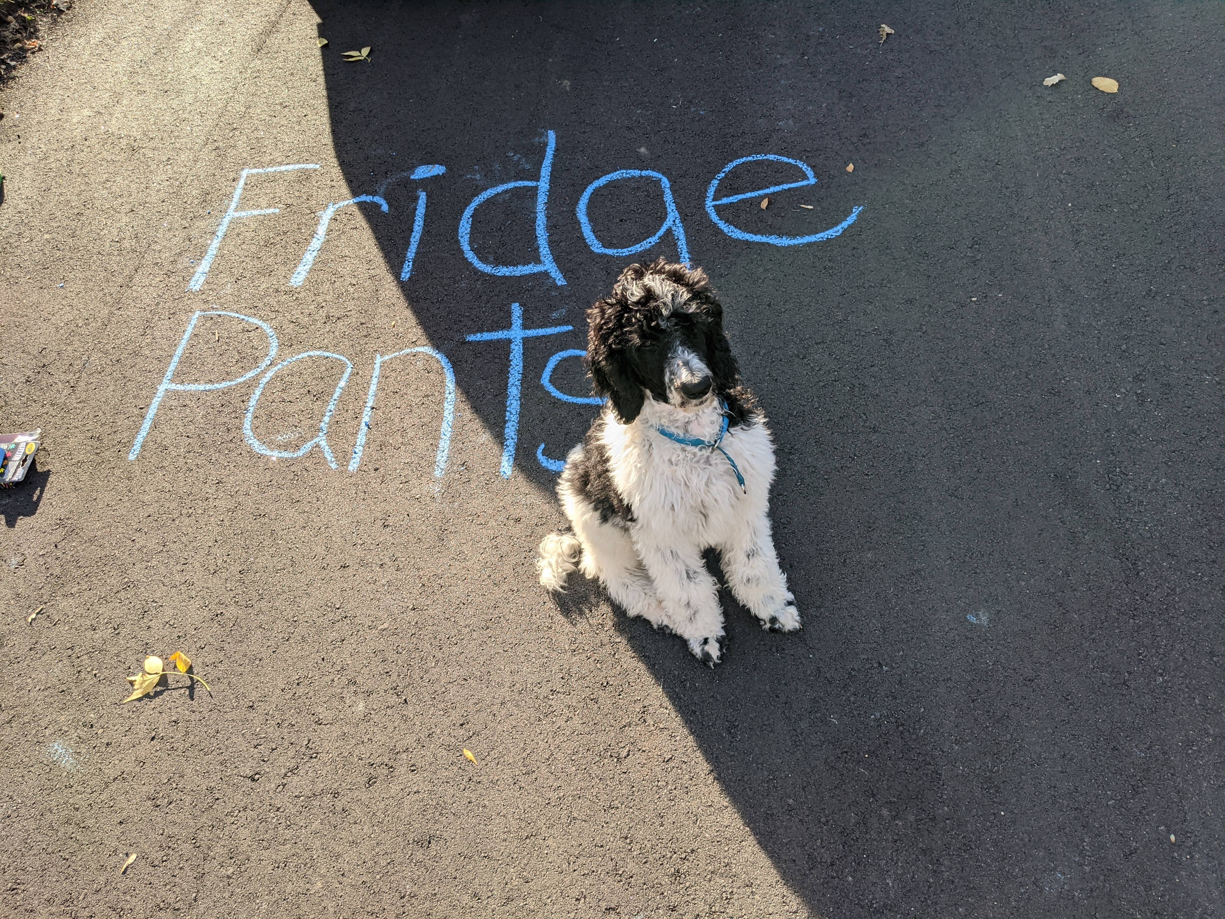 Meet Martin, the Fridge Pants Legend