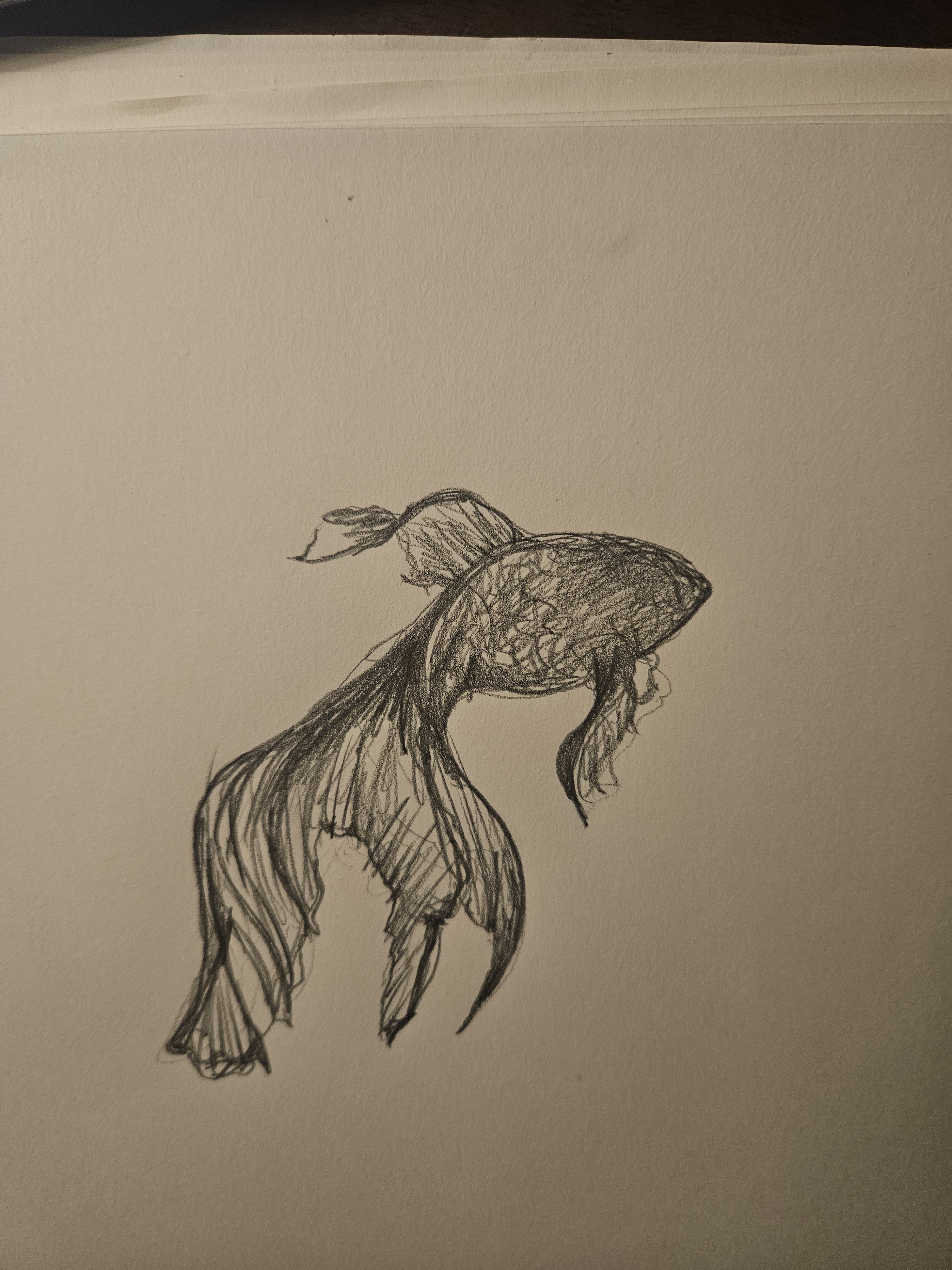 A sketch of a fish