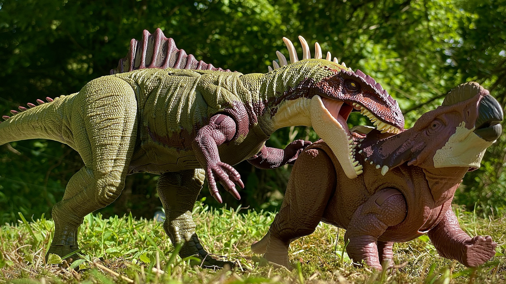 Pachyrhino in Distress: A Call for Help
