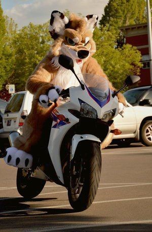 It's Fursuit Friday: Let the Fun Begin!