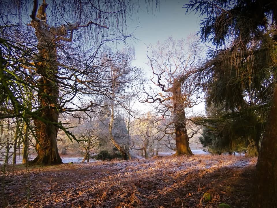 Embracing the Chill: The Beauty of a Frosty Morning