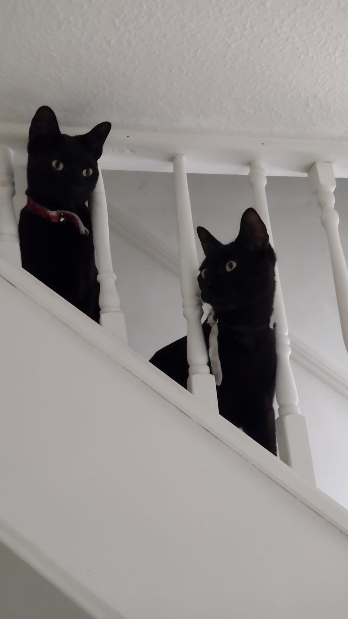 The Mystery: Who, What, Where?