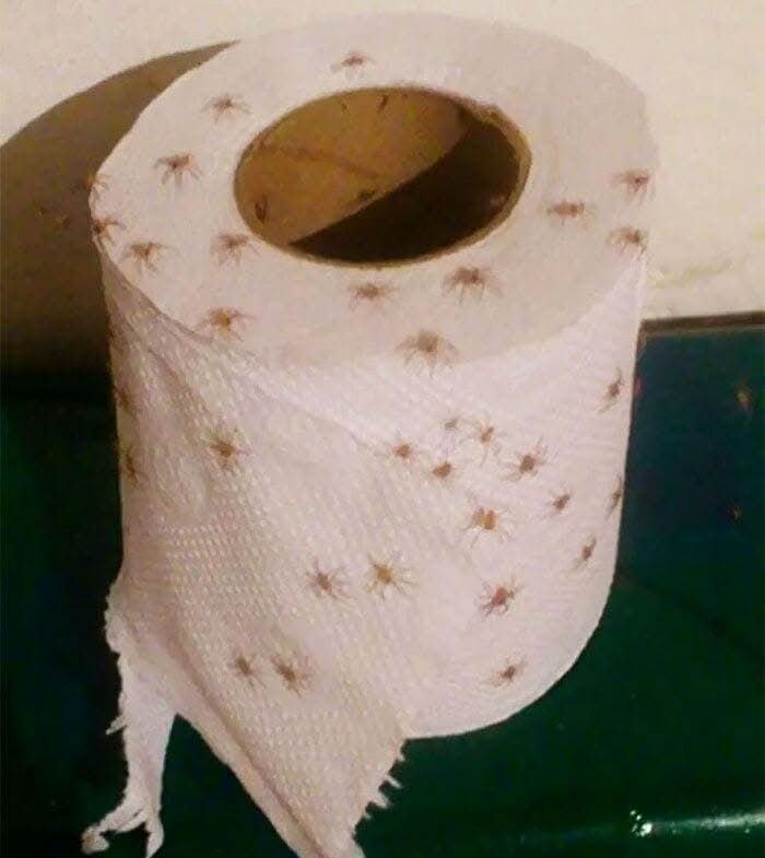 A Resounding NOPE to This Situation!
