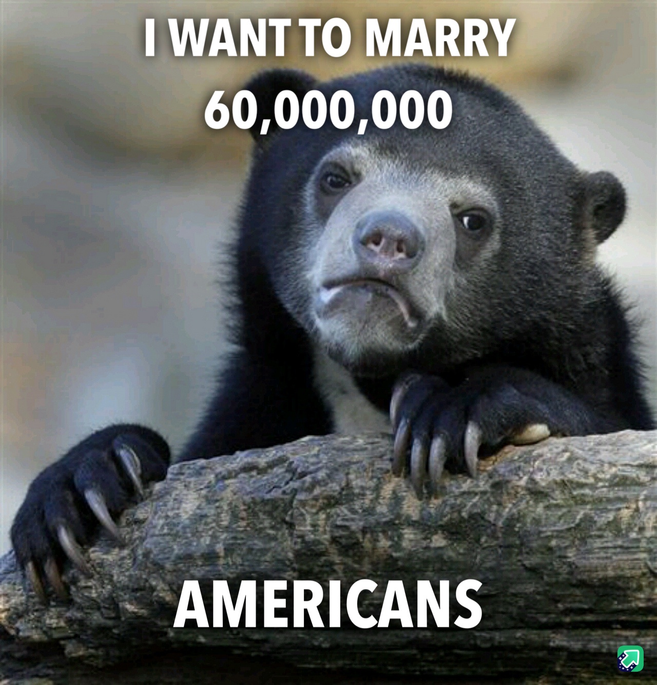Not Quite Sure About Canada's Polygamy Laws...