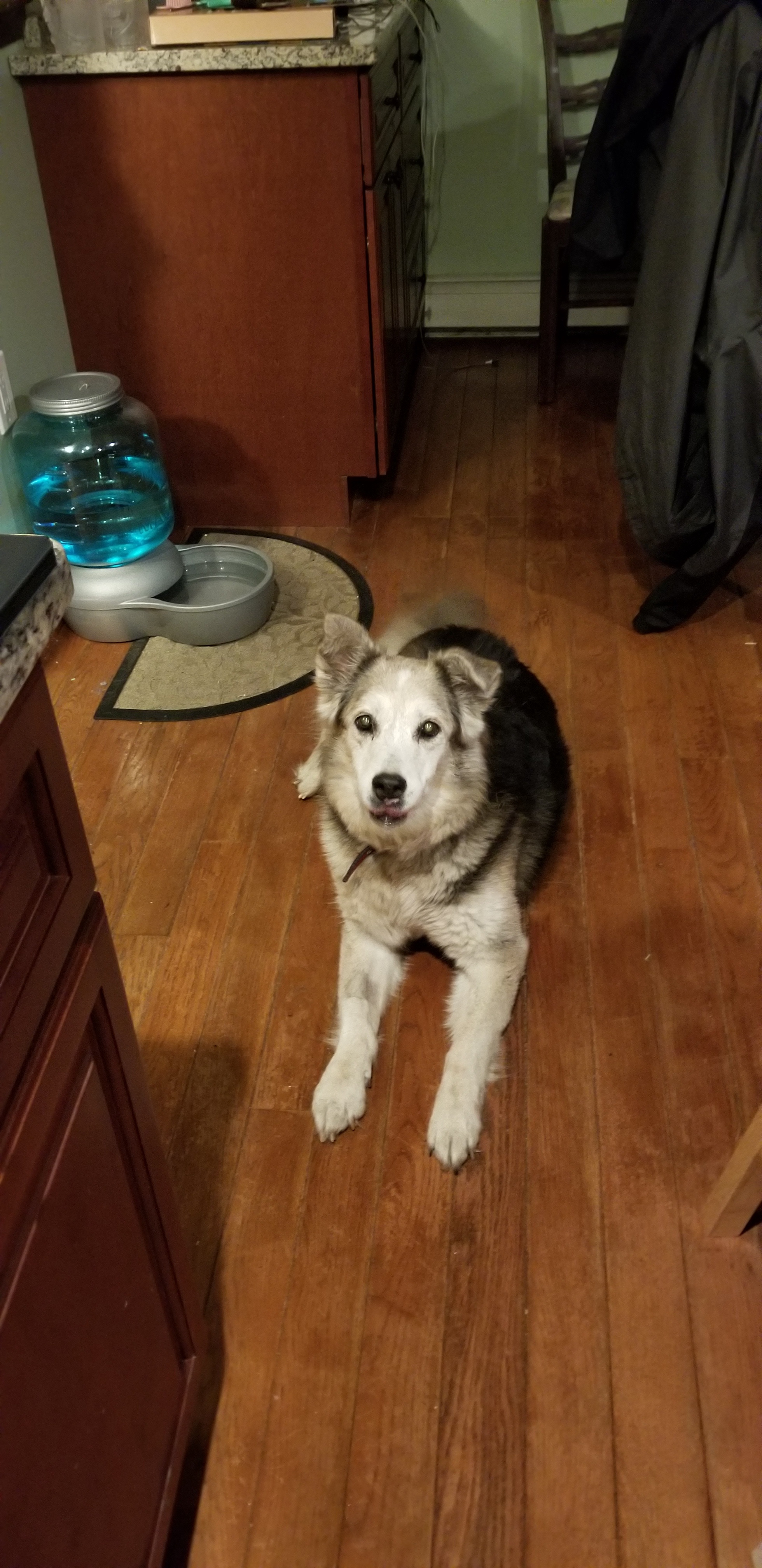 Kaylee's heartwarming journey with only months left to cherish