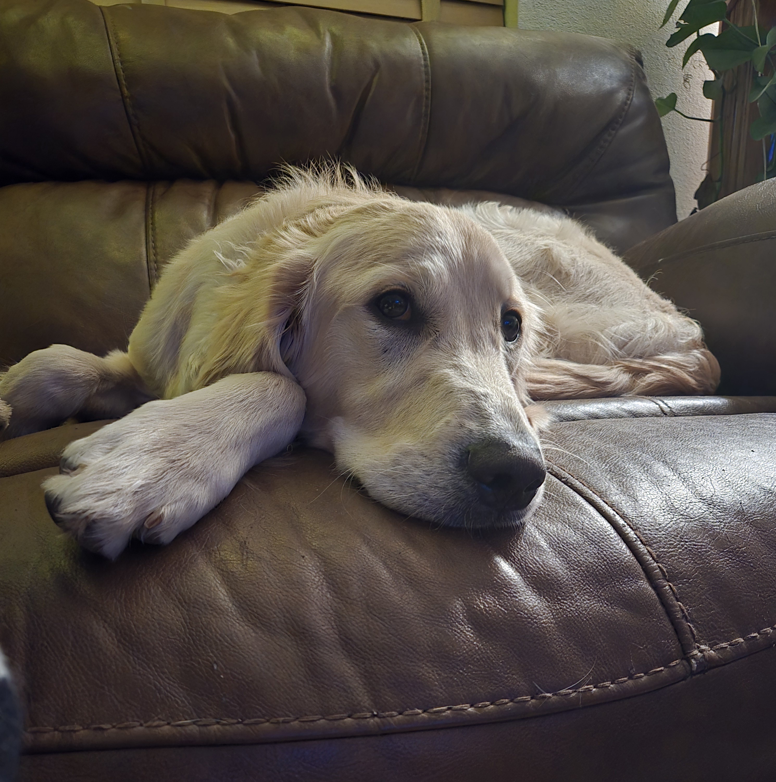 A Bright Good Morning from Floyd!