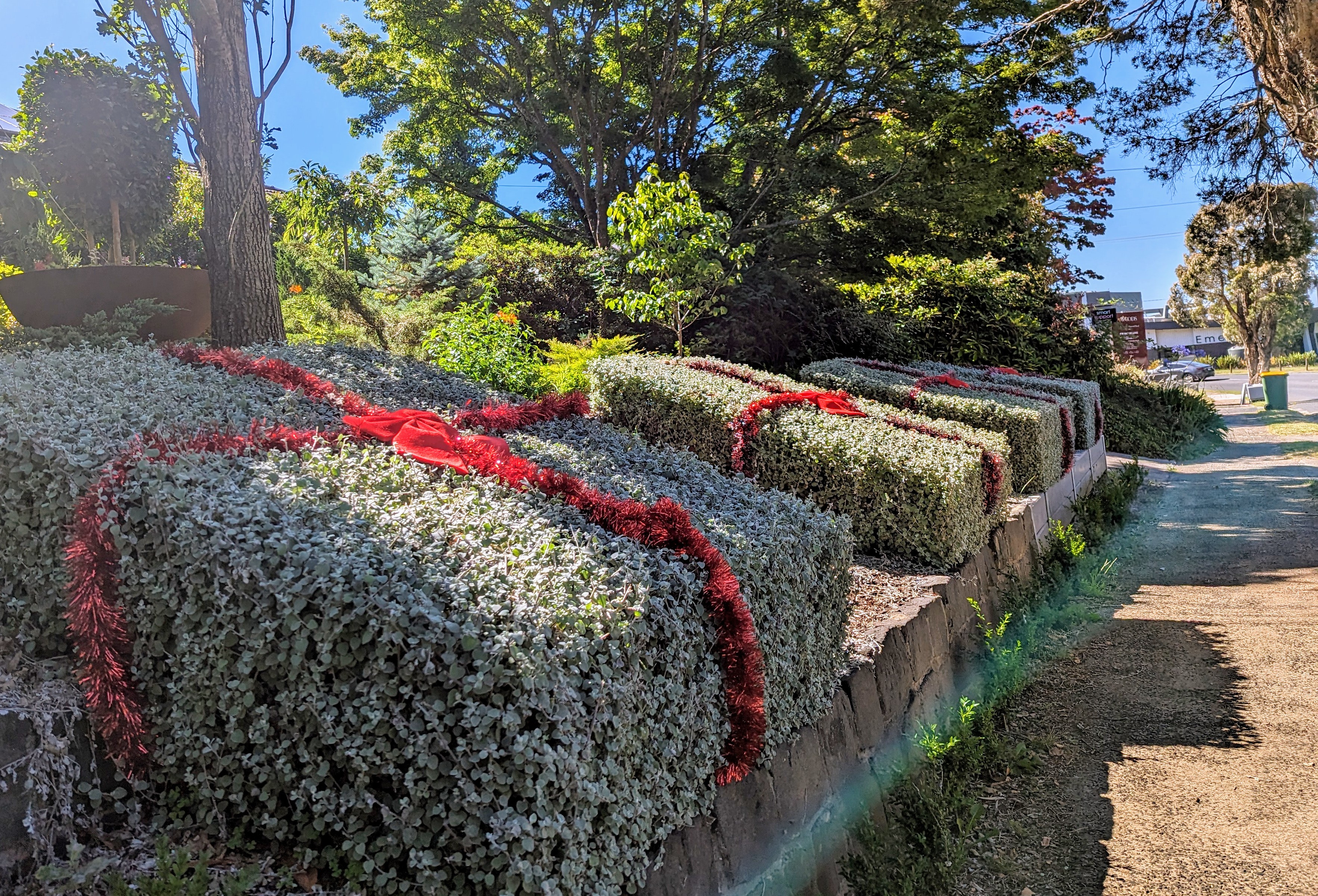 The Enchanted Christmas Hedges