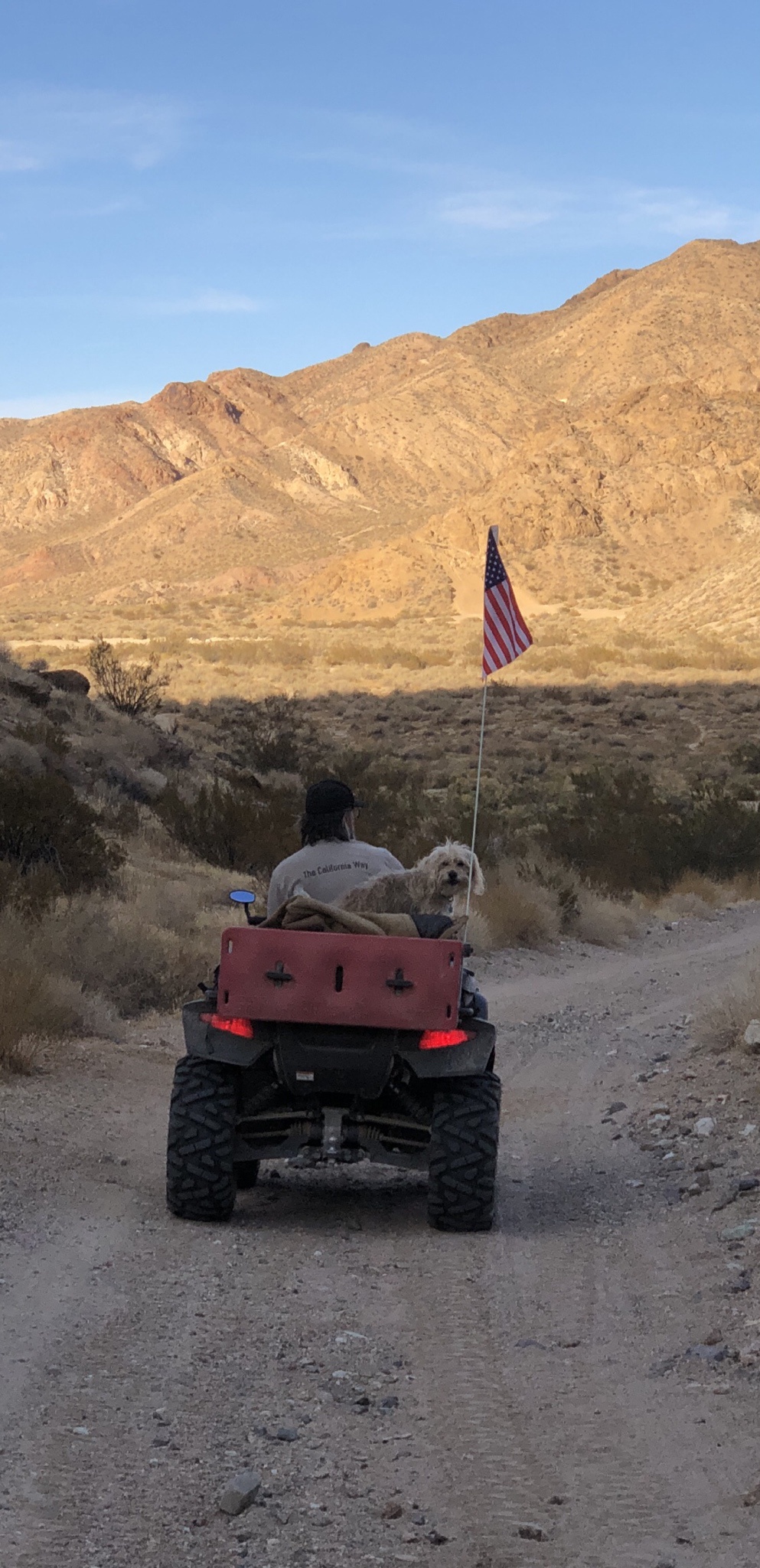 Benji's Epic Lift-Off!