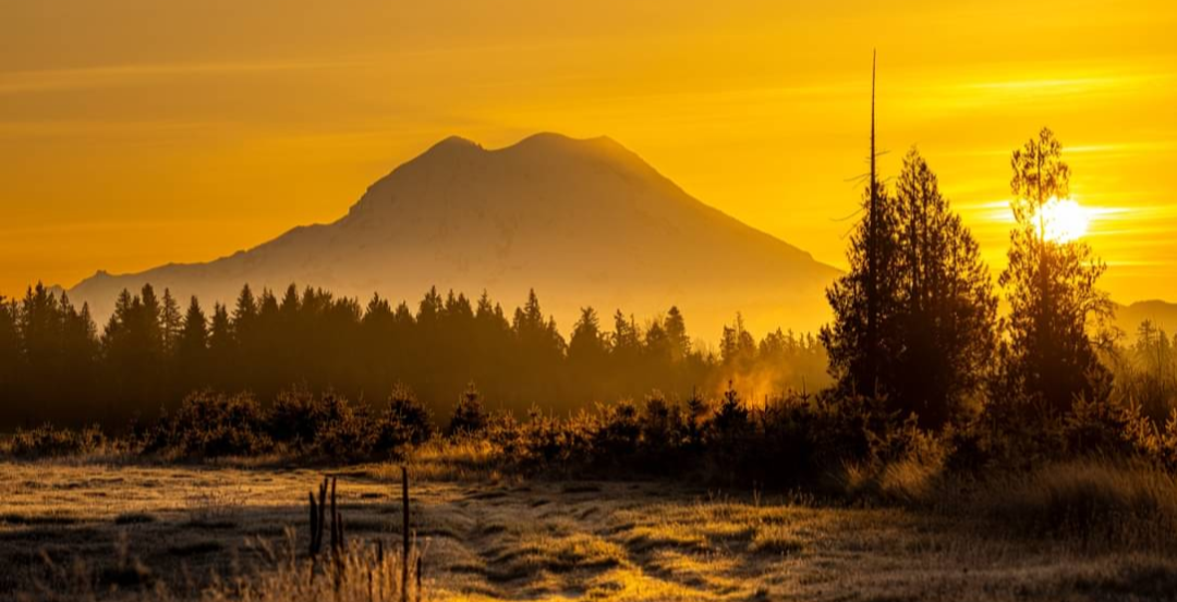 Mt Tahoma Glows in the Golden Light of Dawn, 2024