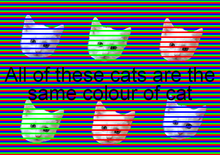 Confetti Illusion: Cat Edition Unleashed!